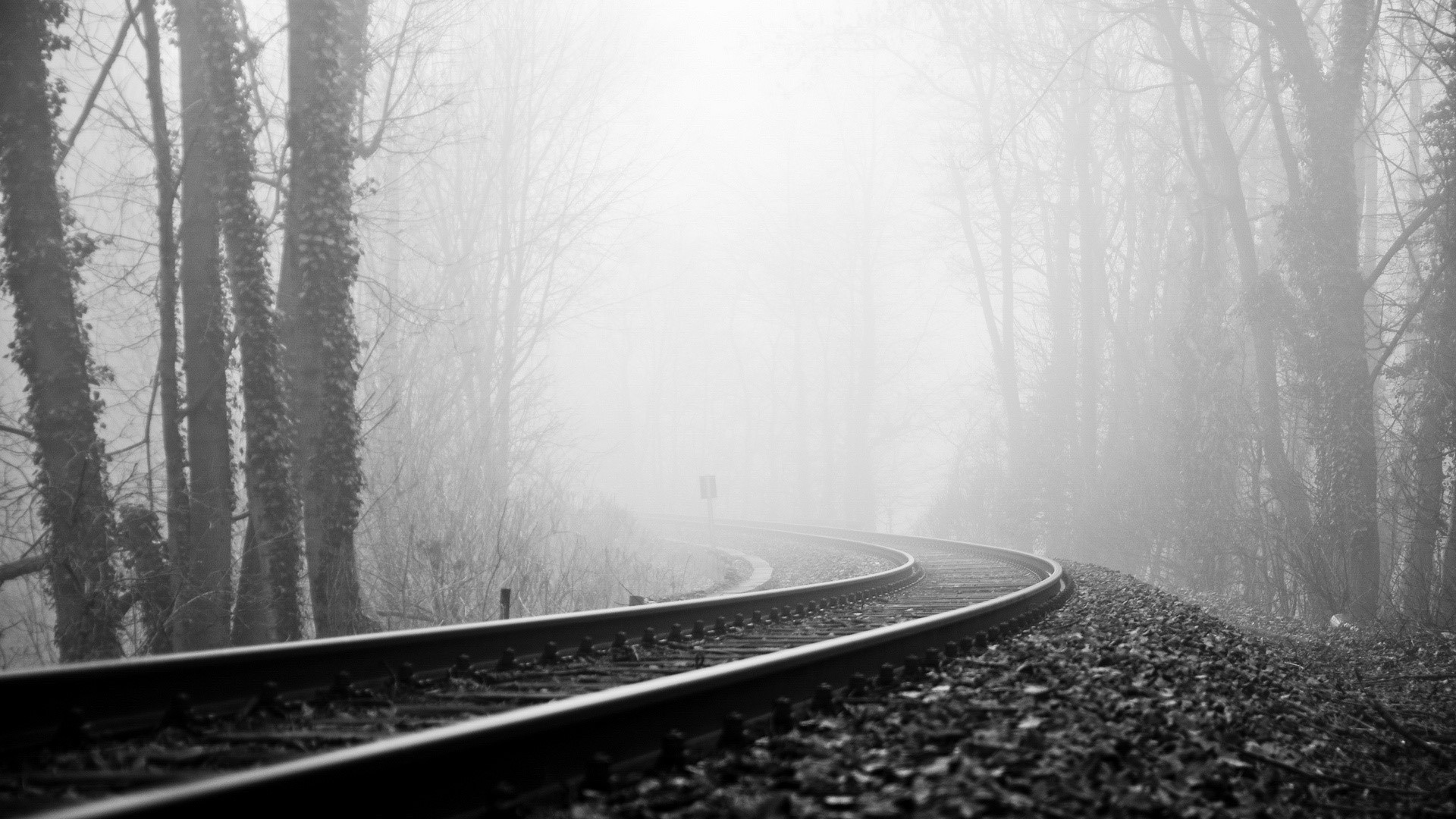 Railway tracks curving through a foggy forest HD Wallpaper