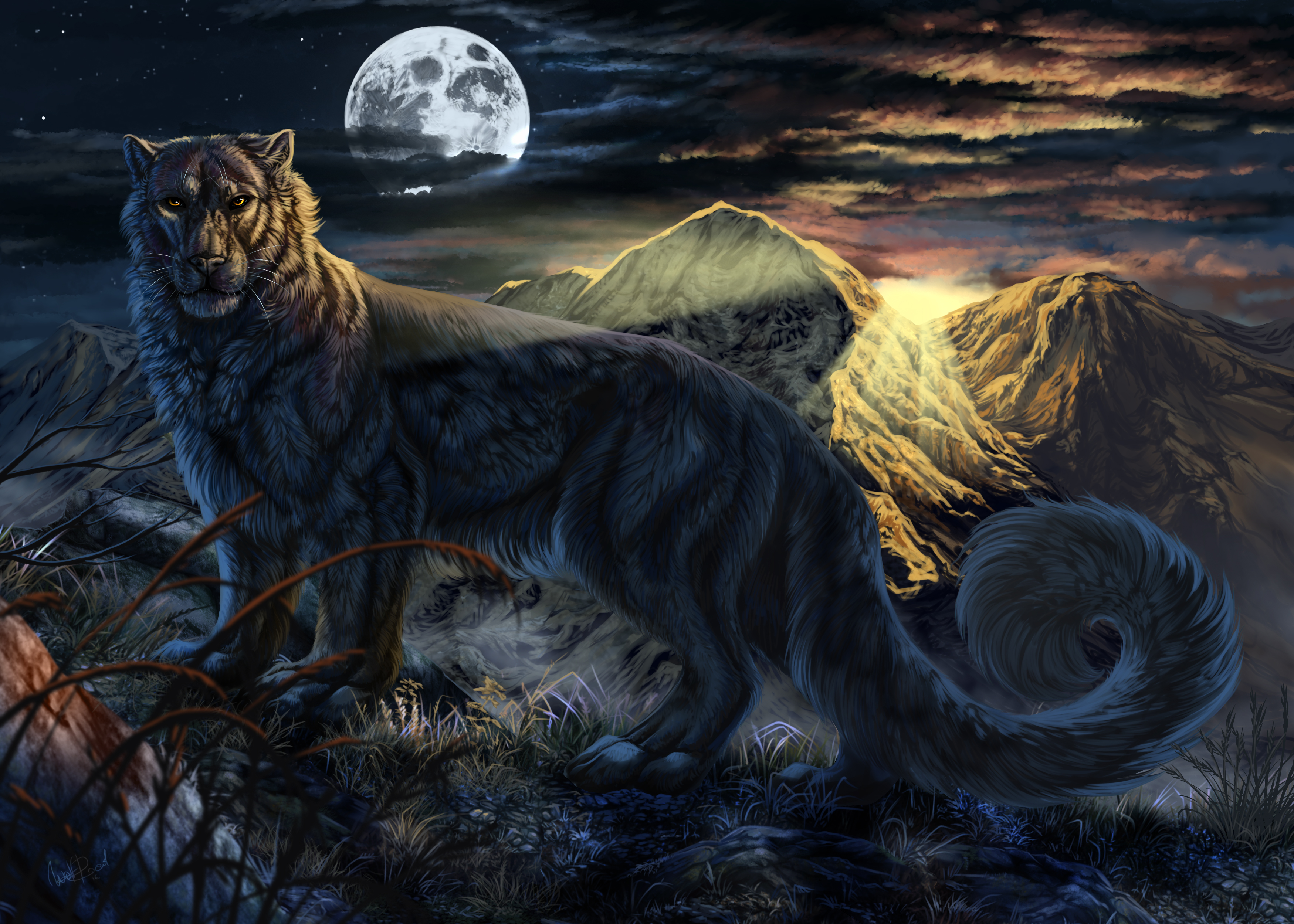 Fantasy leopard artwork under the moon HD Wallpaper