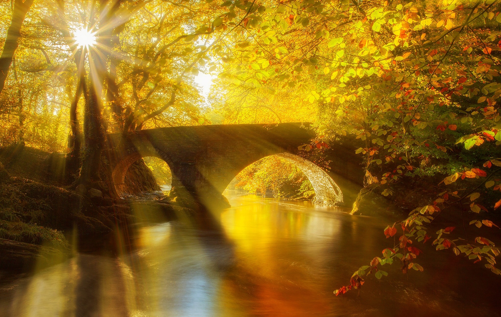 Sunlight streams through autumn trees over a stone bridge and river HD Wallpaper