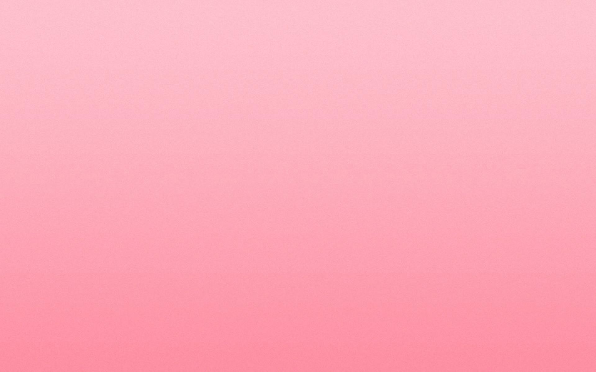 Pink gradient background HD Wallpaper