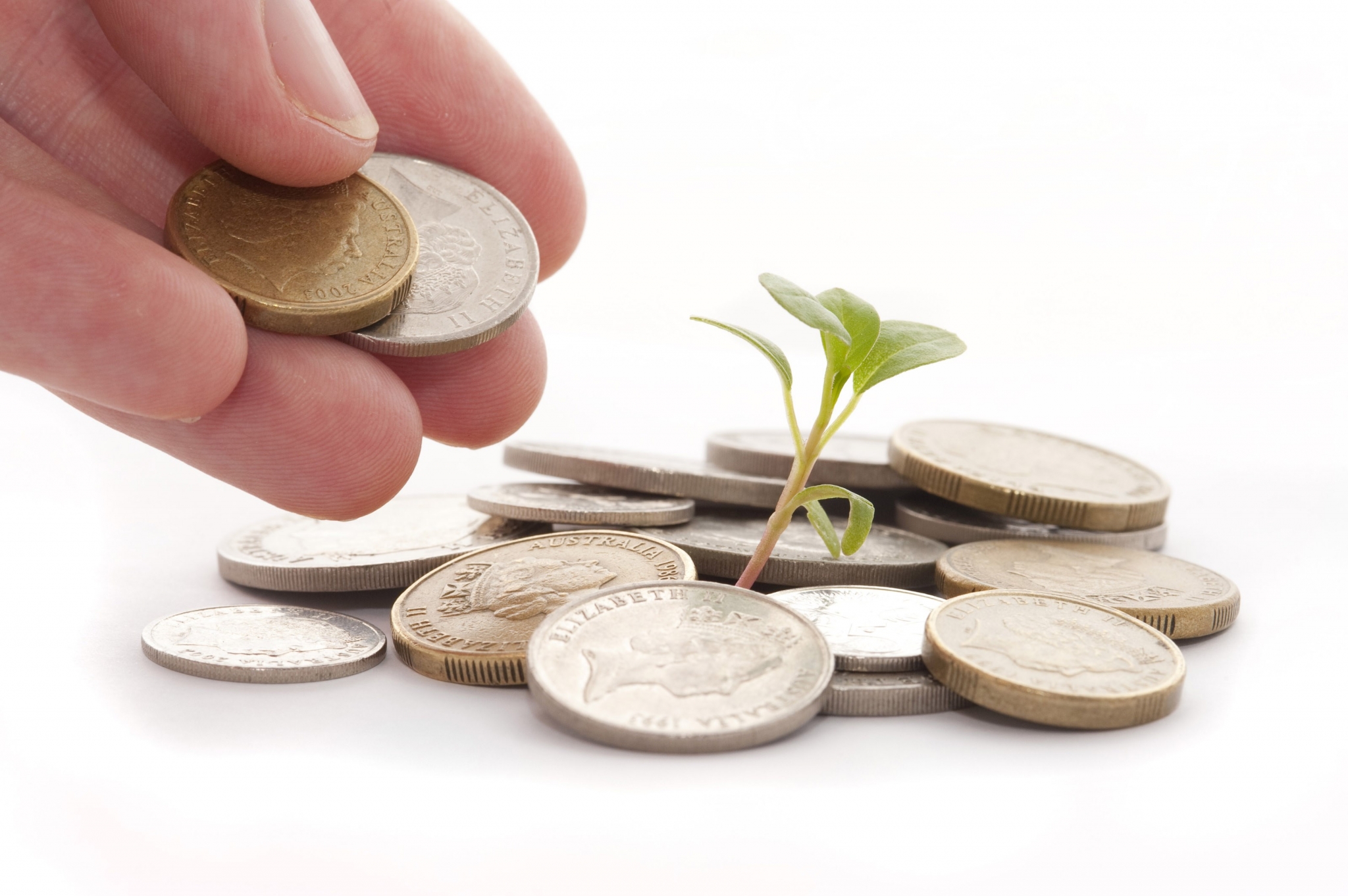 Hand adding coins to pile with growing plant HD Wallpaper