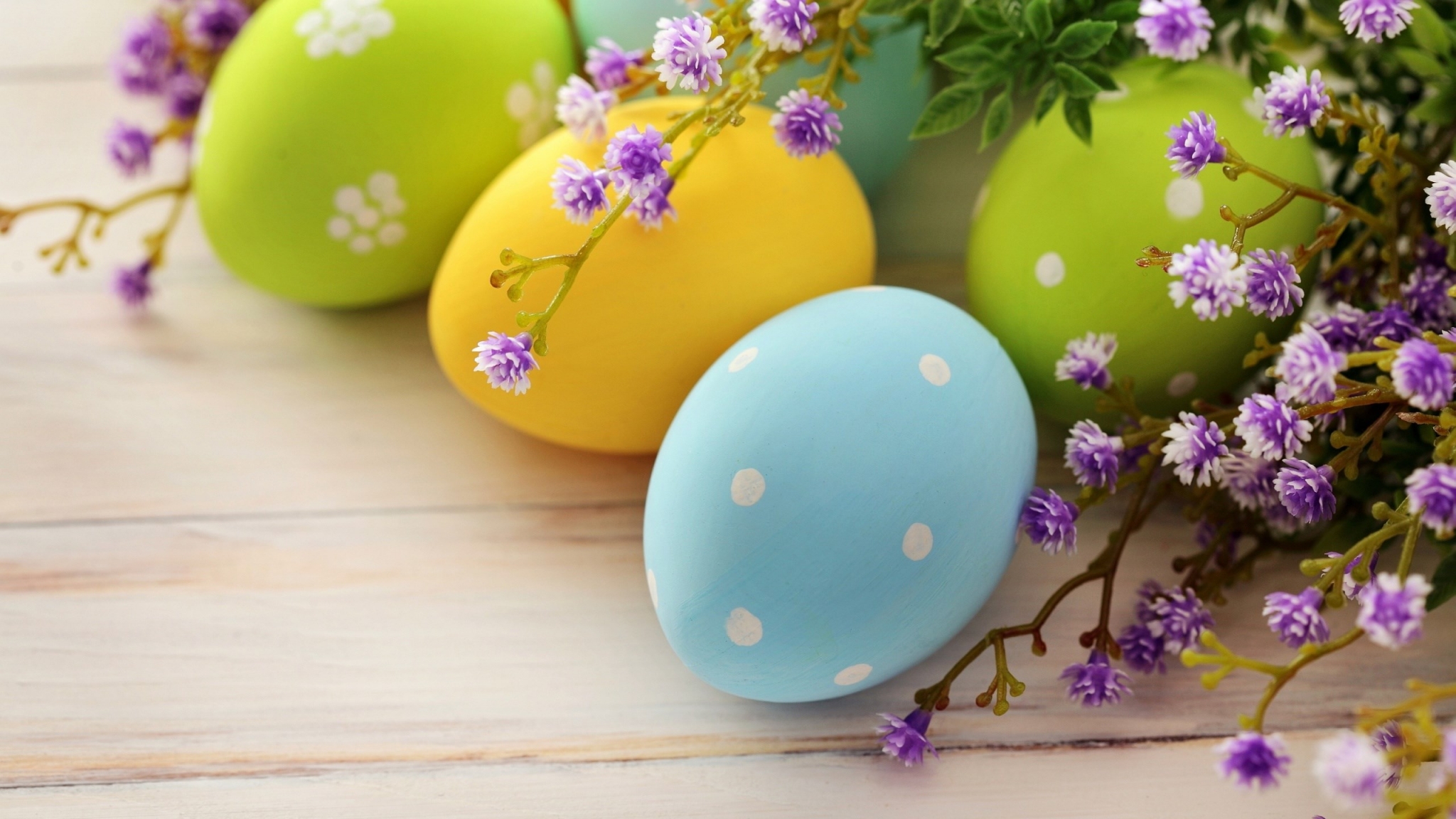 Easter eggs with purple flowers on wooden background HD Wallpaper