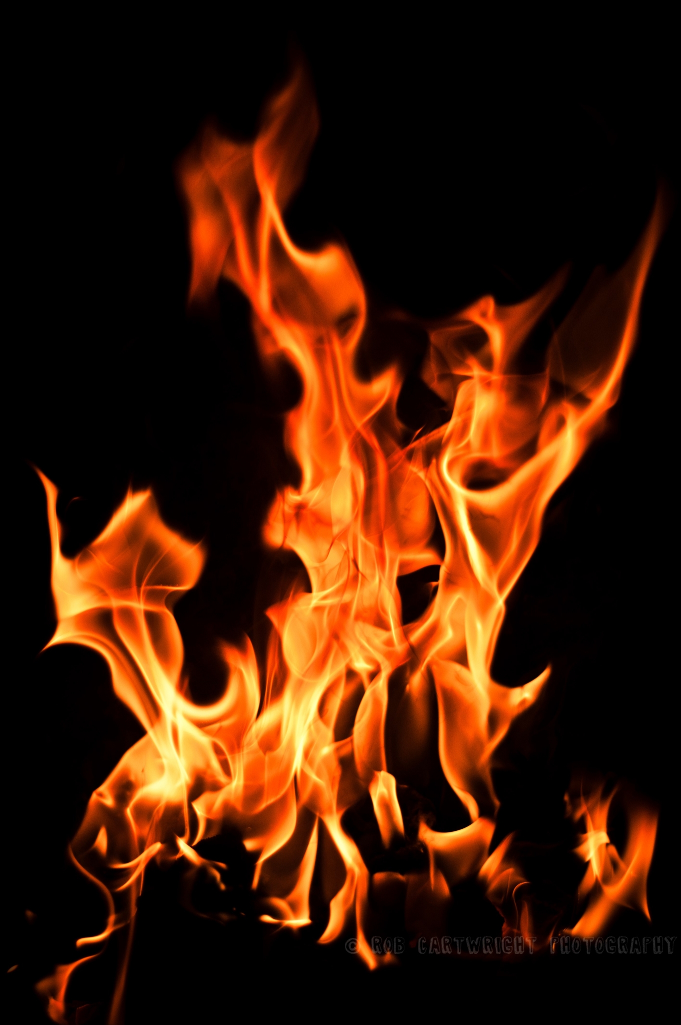Fire flames against a black background HD Wallpaper