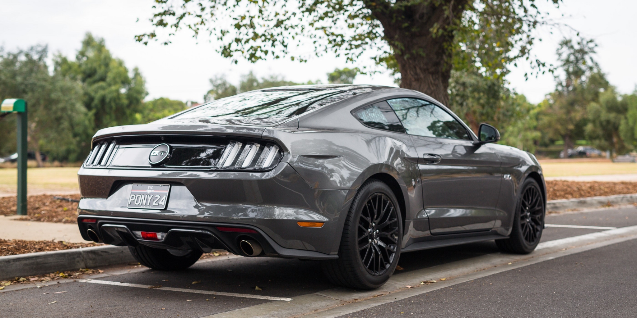 Gray Ford Mustang GT parked on a street HD Wallpaper