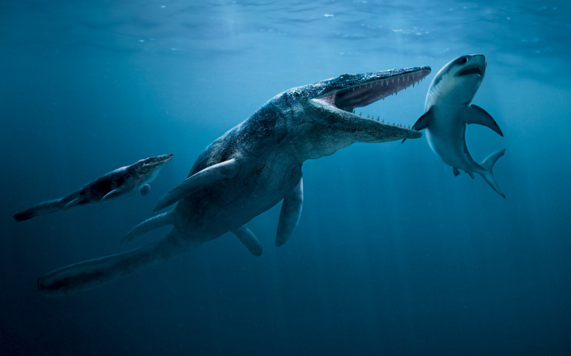 Mosasaurus and shark underwater HD Wallpaper