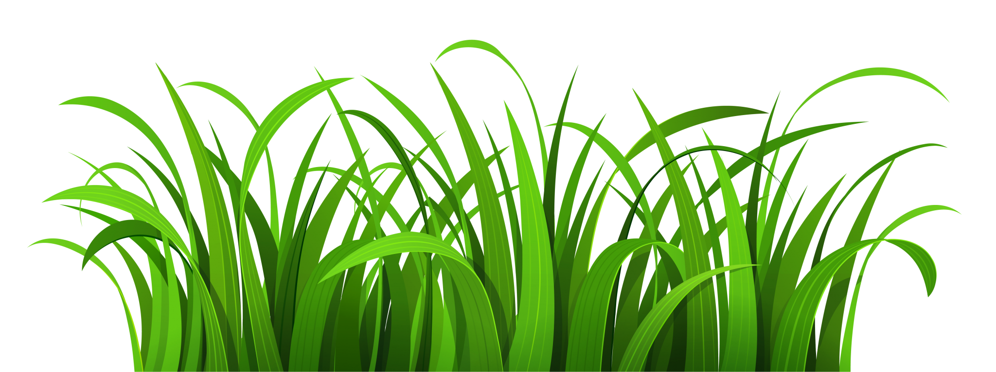 Green grass illustration HD Wallpaper
