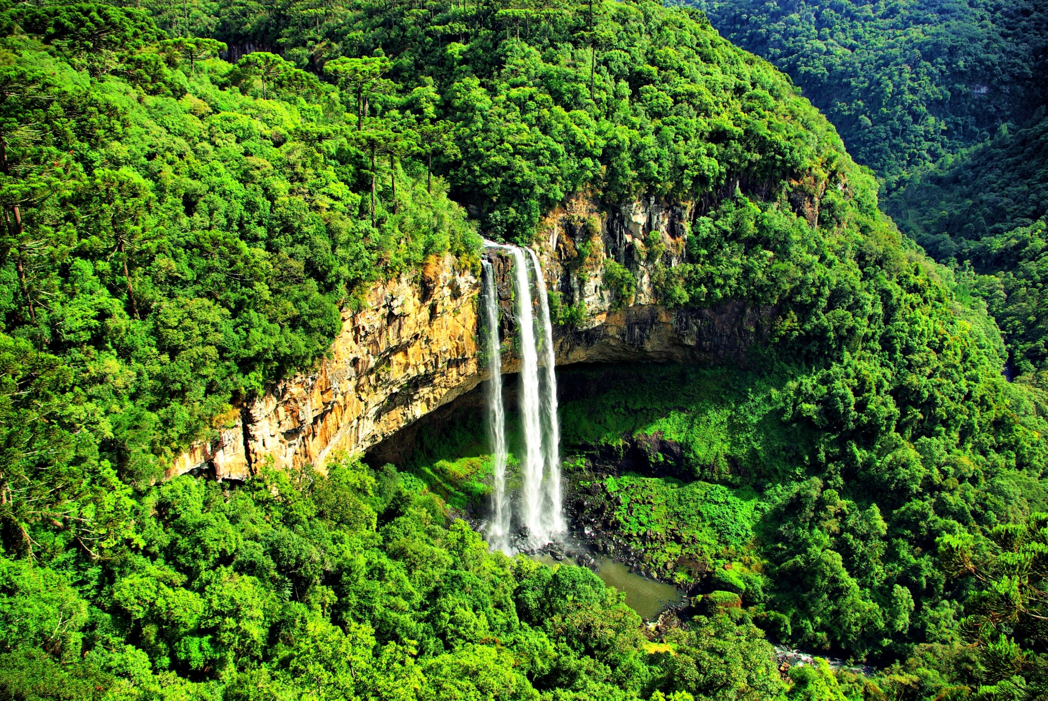 Waterfall in a lush green jungle HD Wallpaper