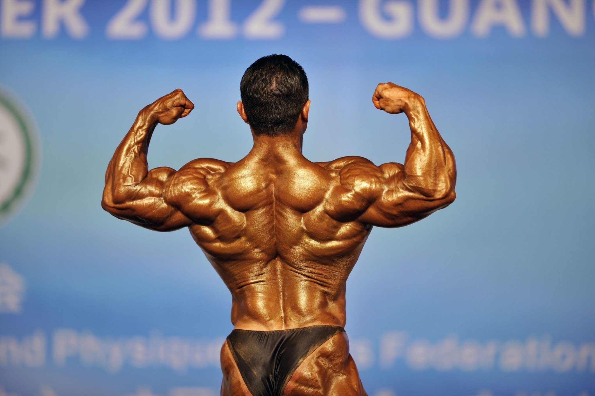 Bodybuilder flexing back muscles HD Wallpaper