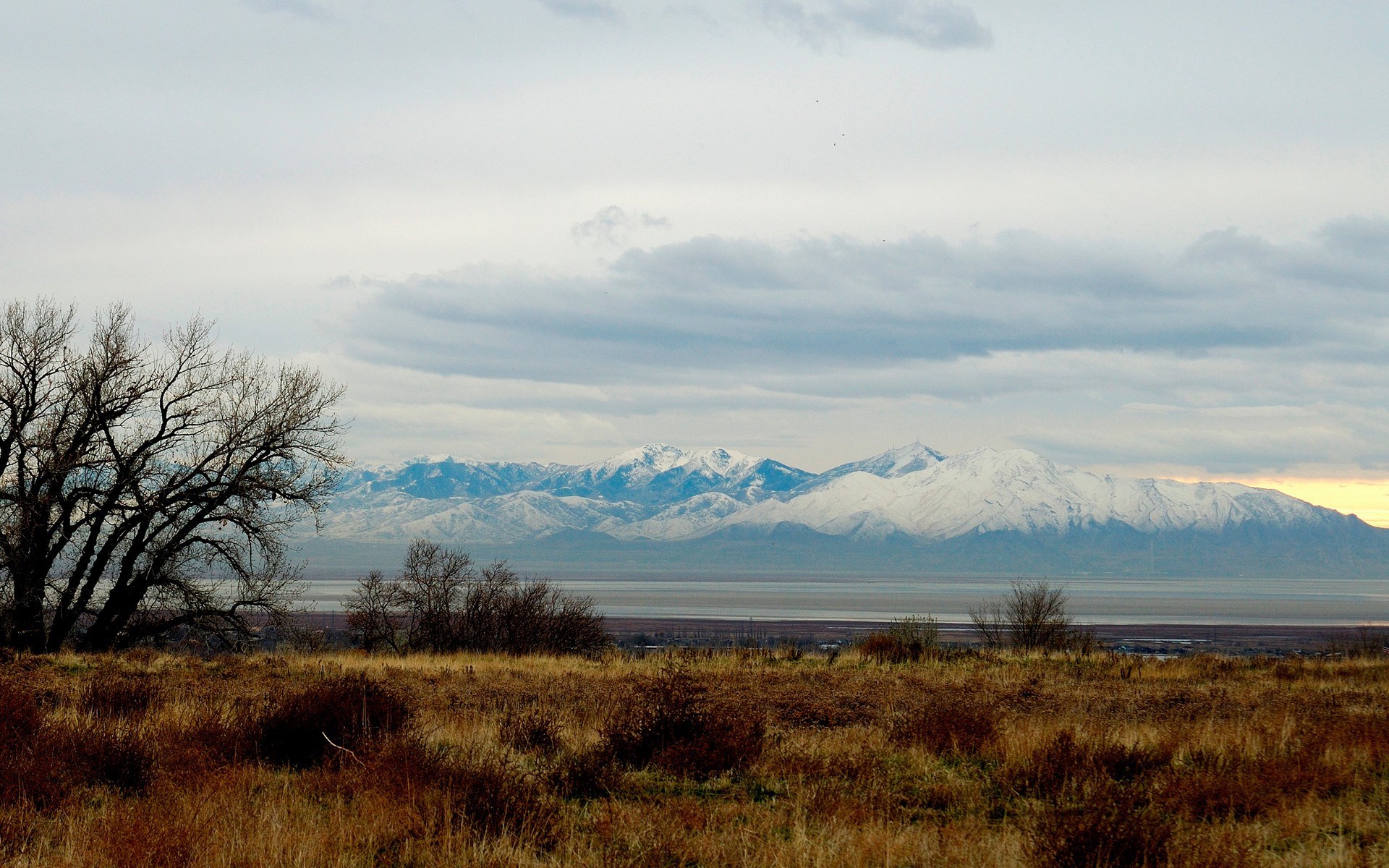 Snow-capped mountains and dry grass field HD Wallpaper