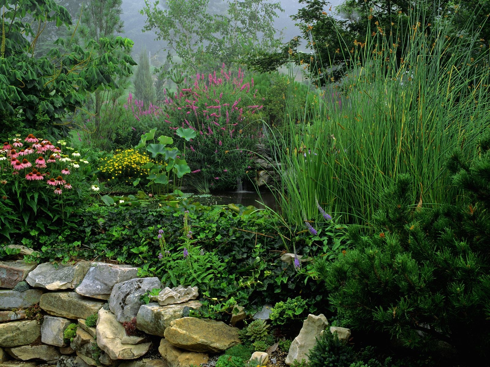 A misty garden with a pond and stone wall HD Wallpaper