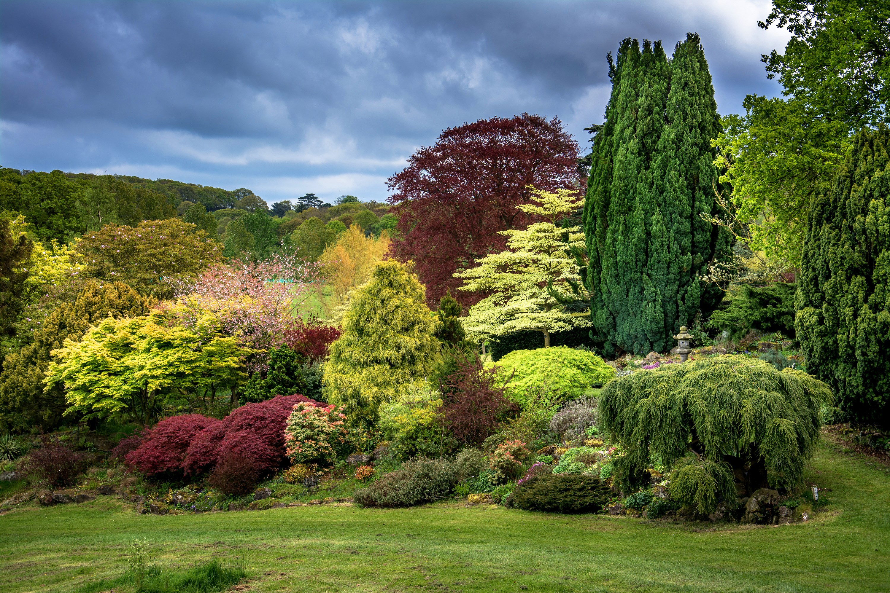 A park with diverse trees and a cloudy sky HD Wallpaper