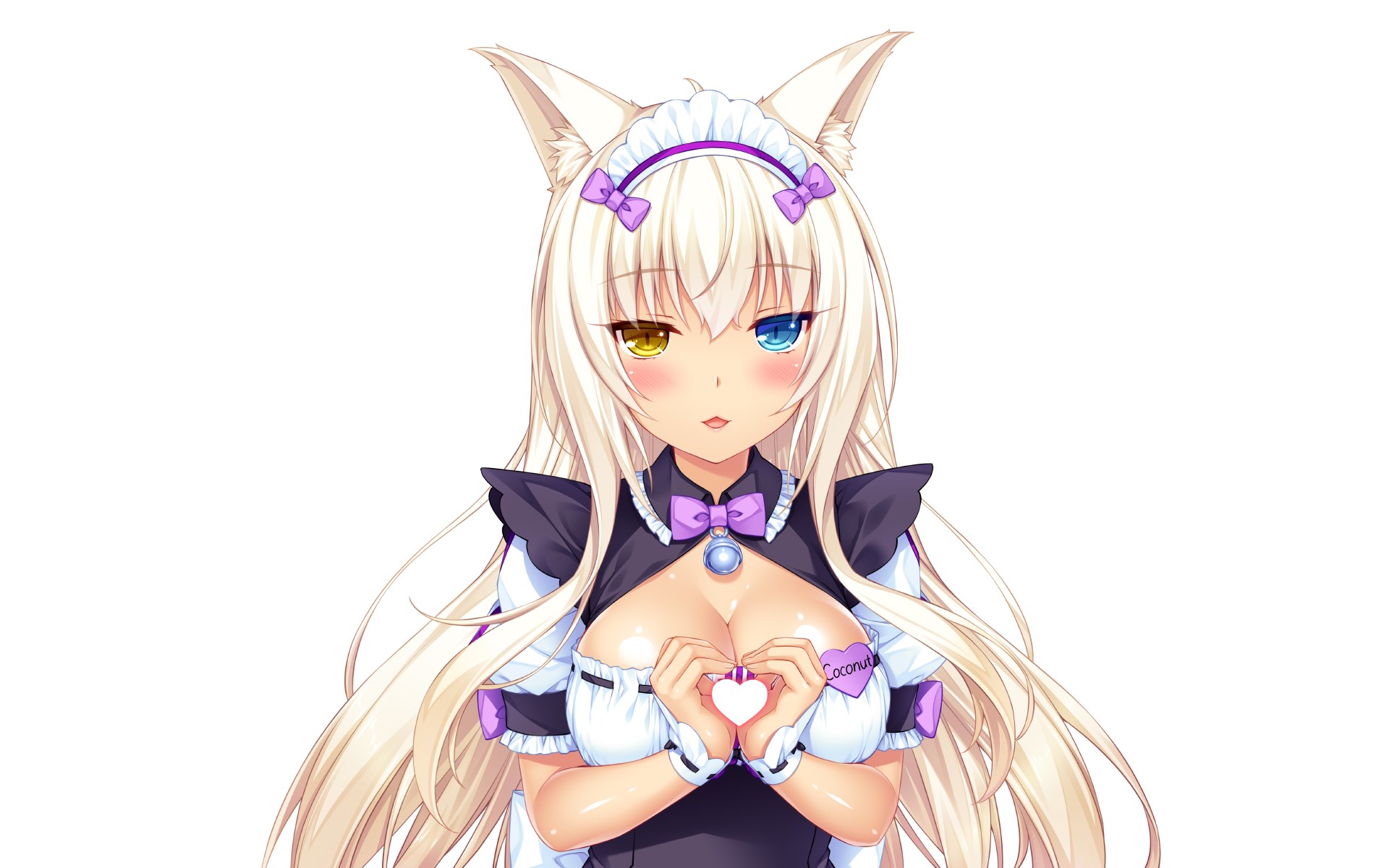 Coconut from Nekopara HD Wallpaper