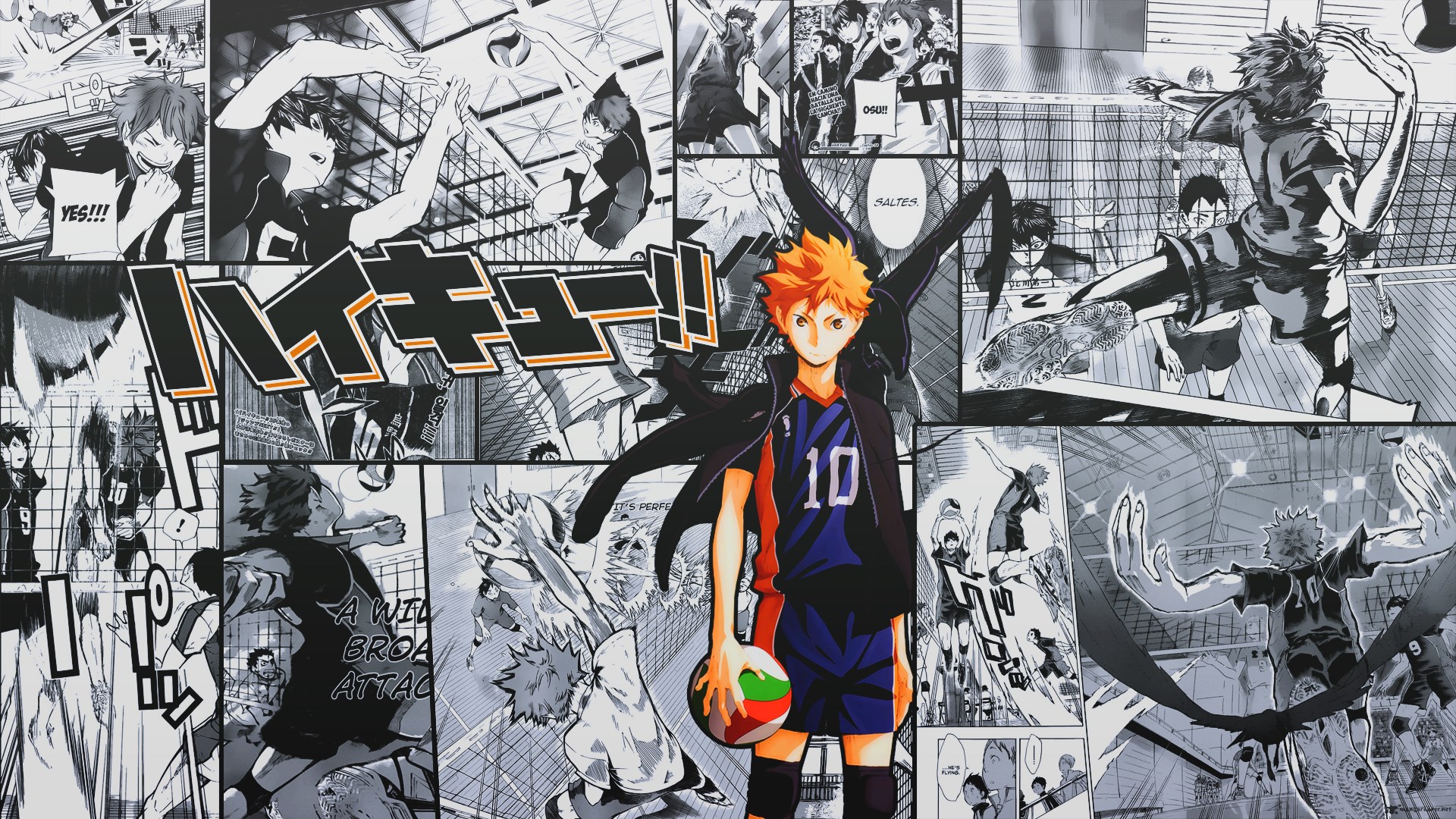 Haikyuu!! Manga Collage with Shoyo Hinata HD Wallpaper