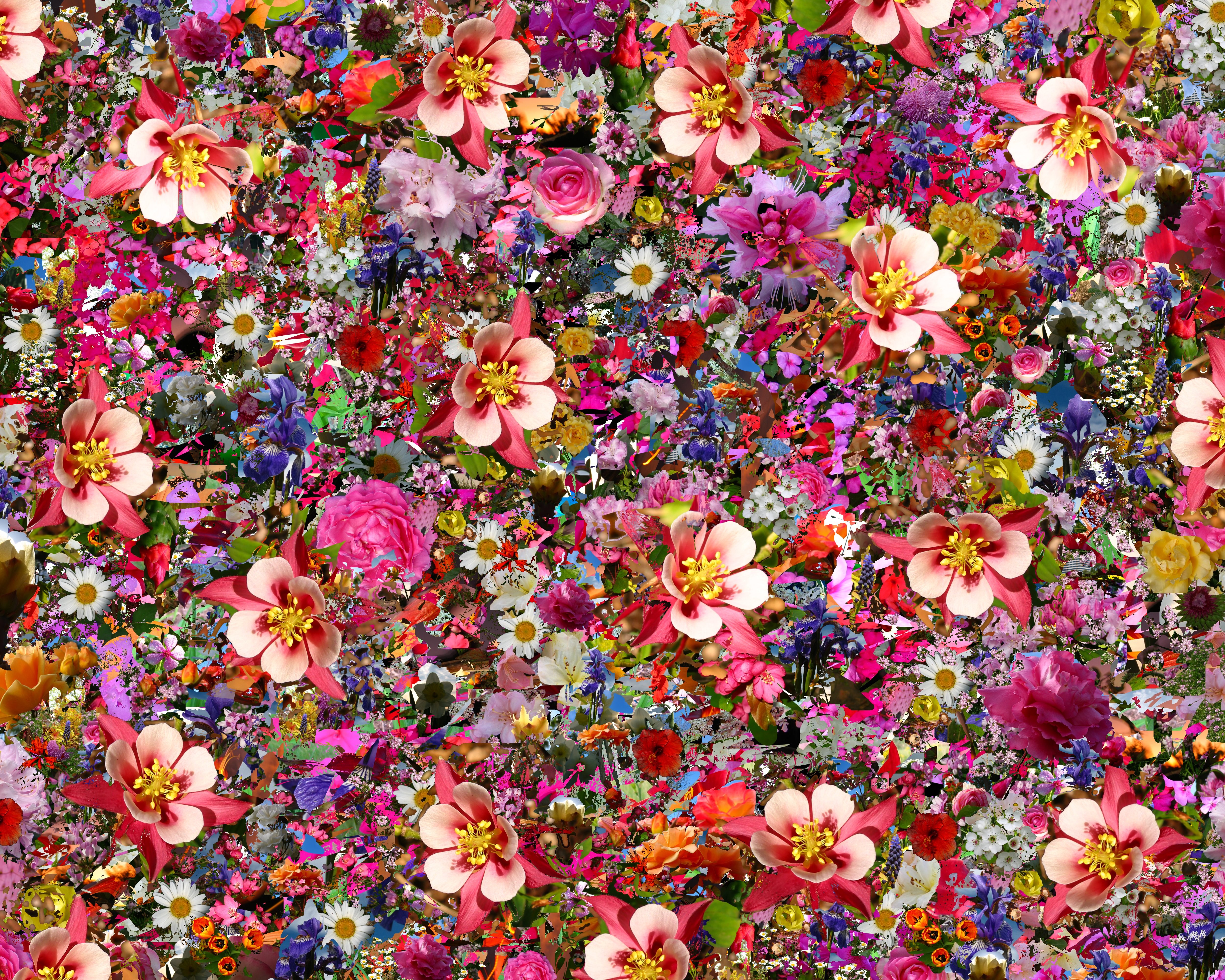 Collage of colorful flowers and plants HD Wallpaper