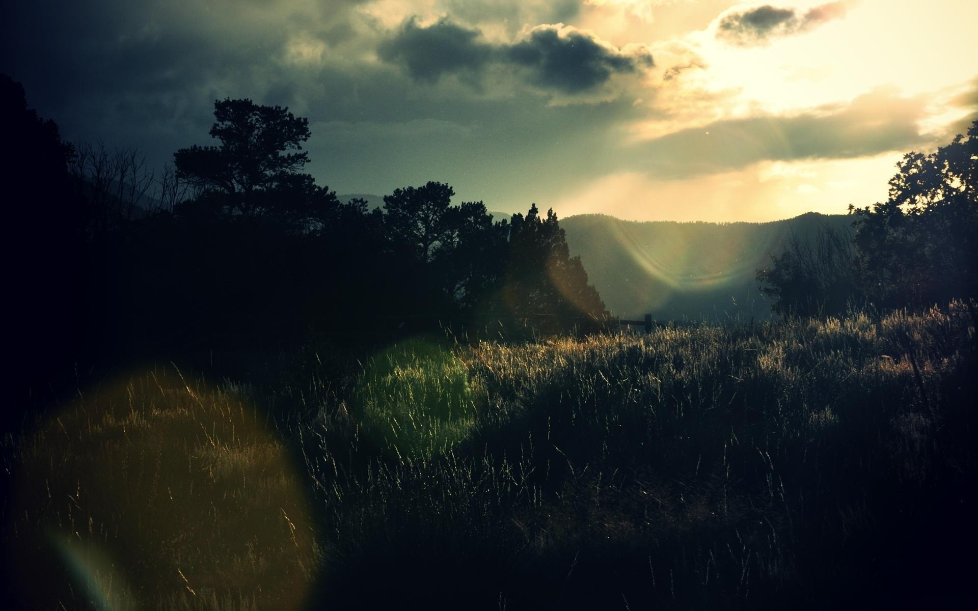 Sunlight beams through clouds over a grassy field and trees HD Wallpaper