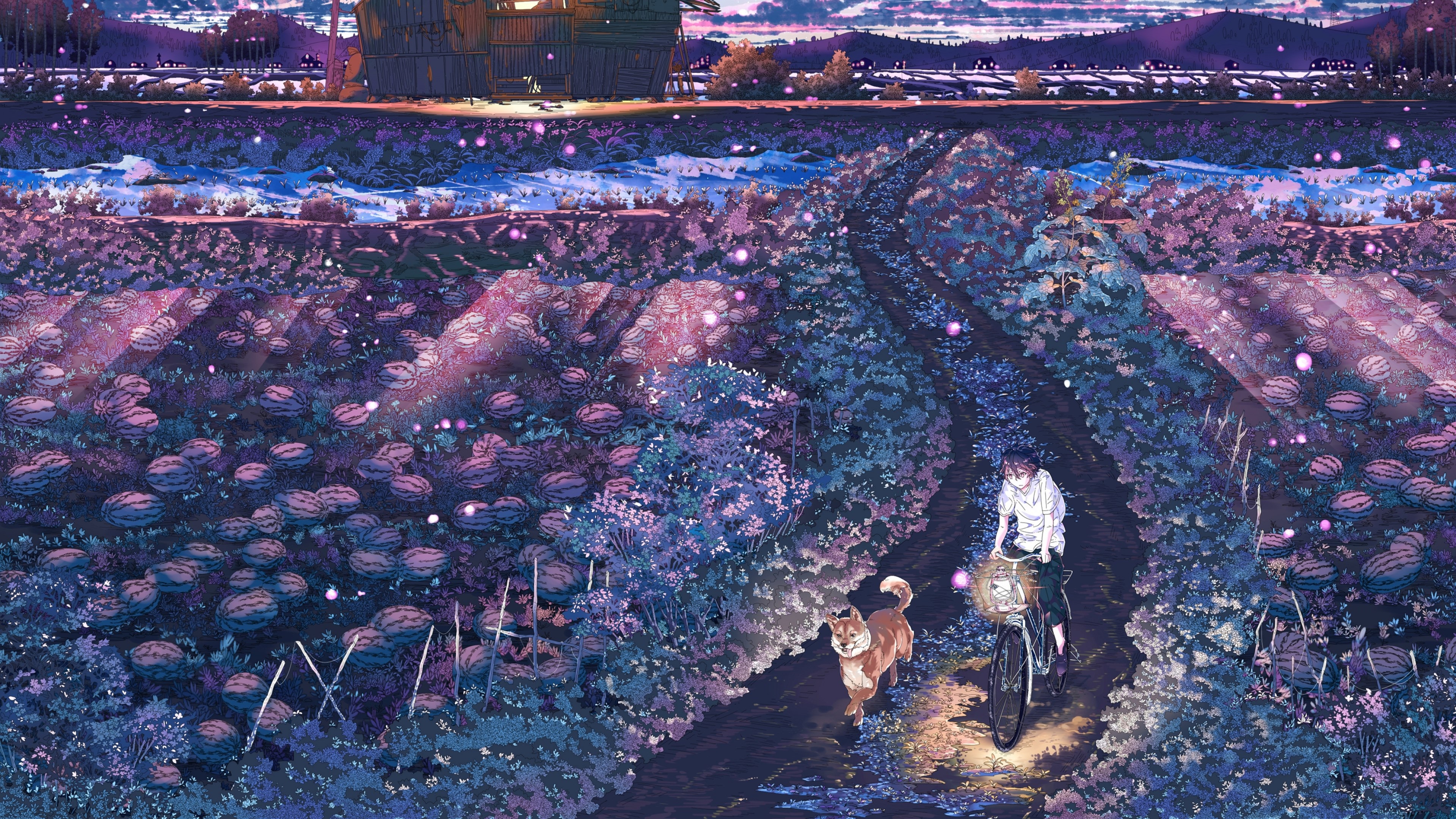 Anime 4K watermelon field at dusk HD Wallpaper