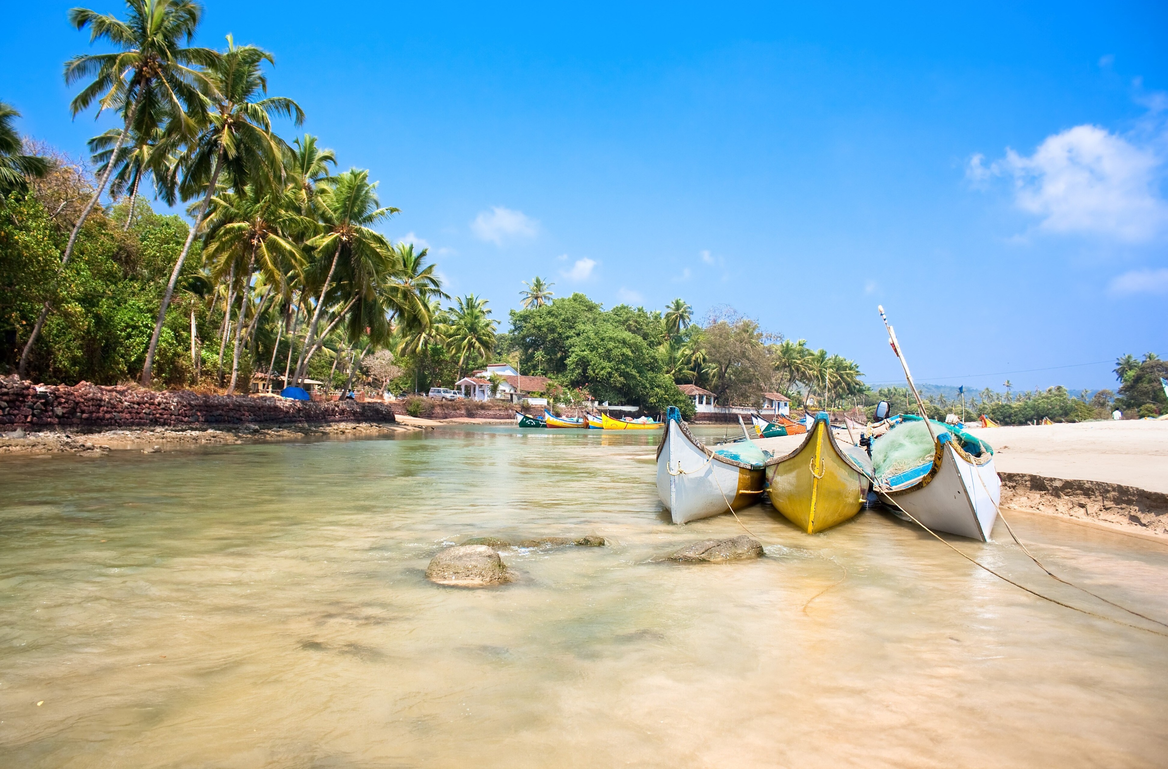 Goa 4K beach with palm trees and boats HD Wallpaper