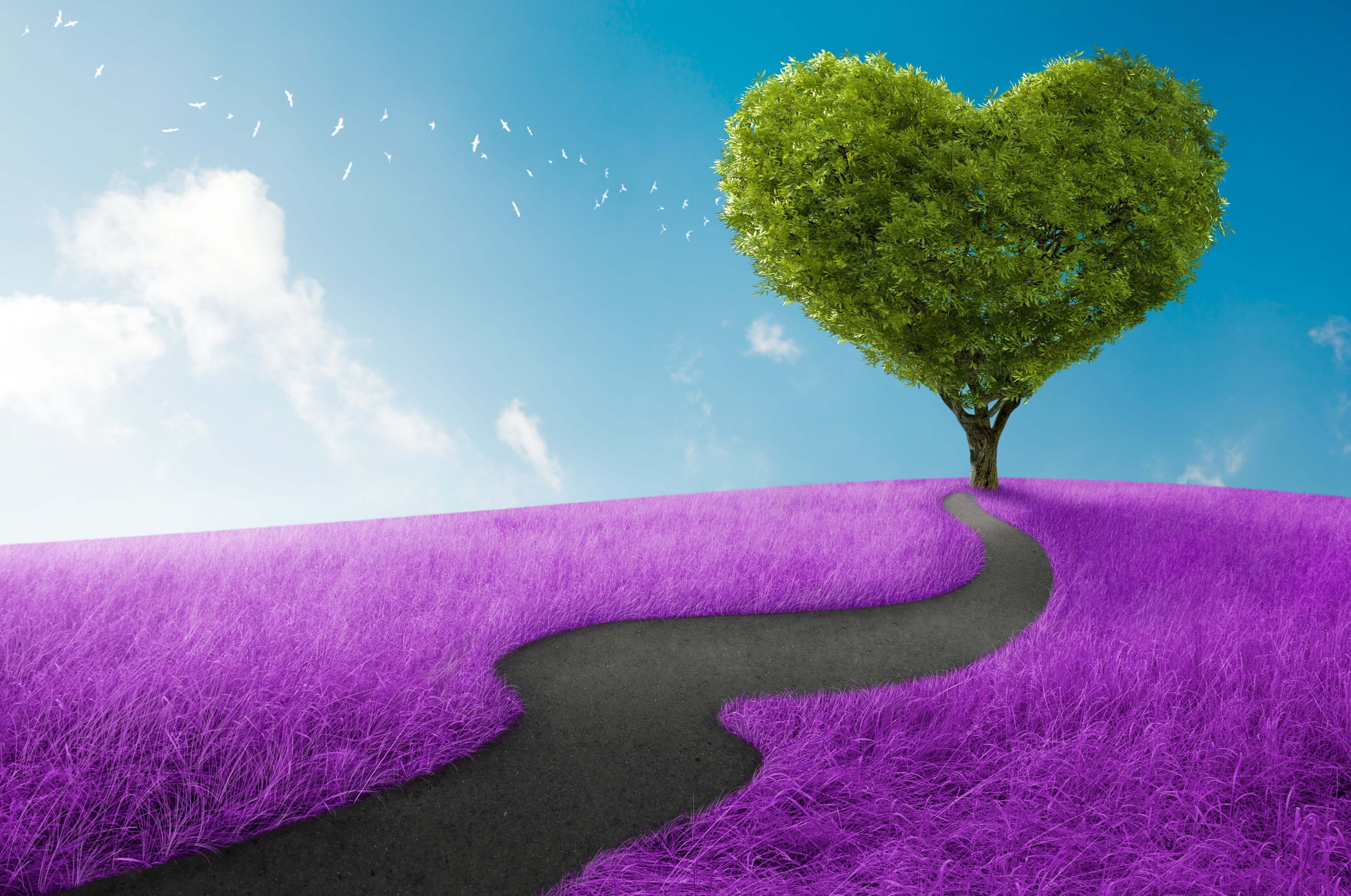 Heart-shaped tree on purple field 4K HD Wallpaper