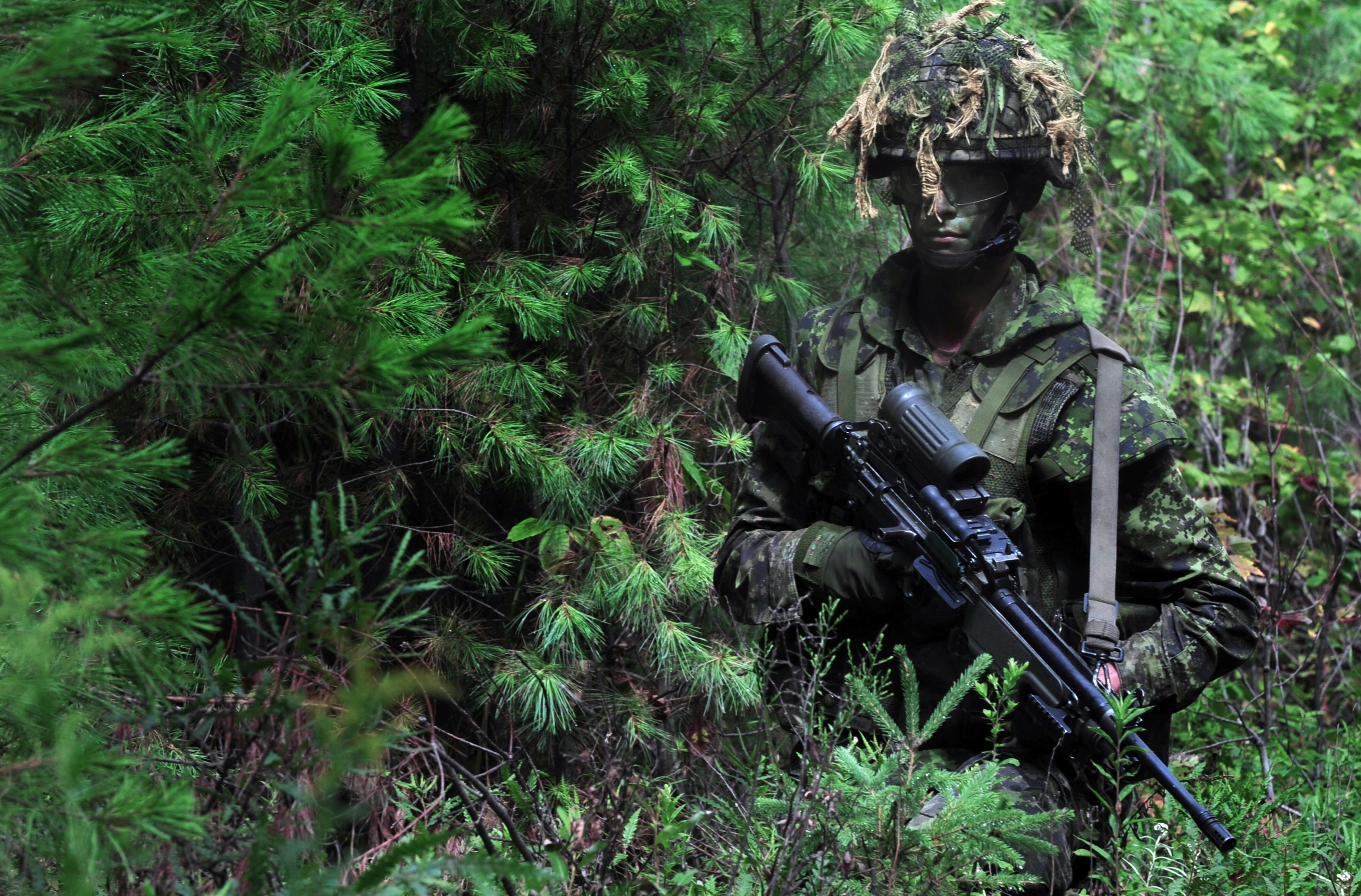 Soldier in camouflage holding a rifle in a forest HD Wallpaper