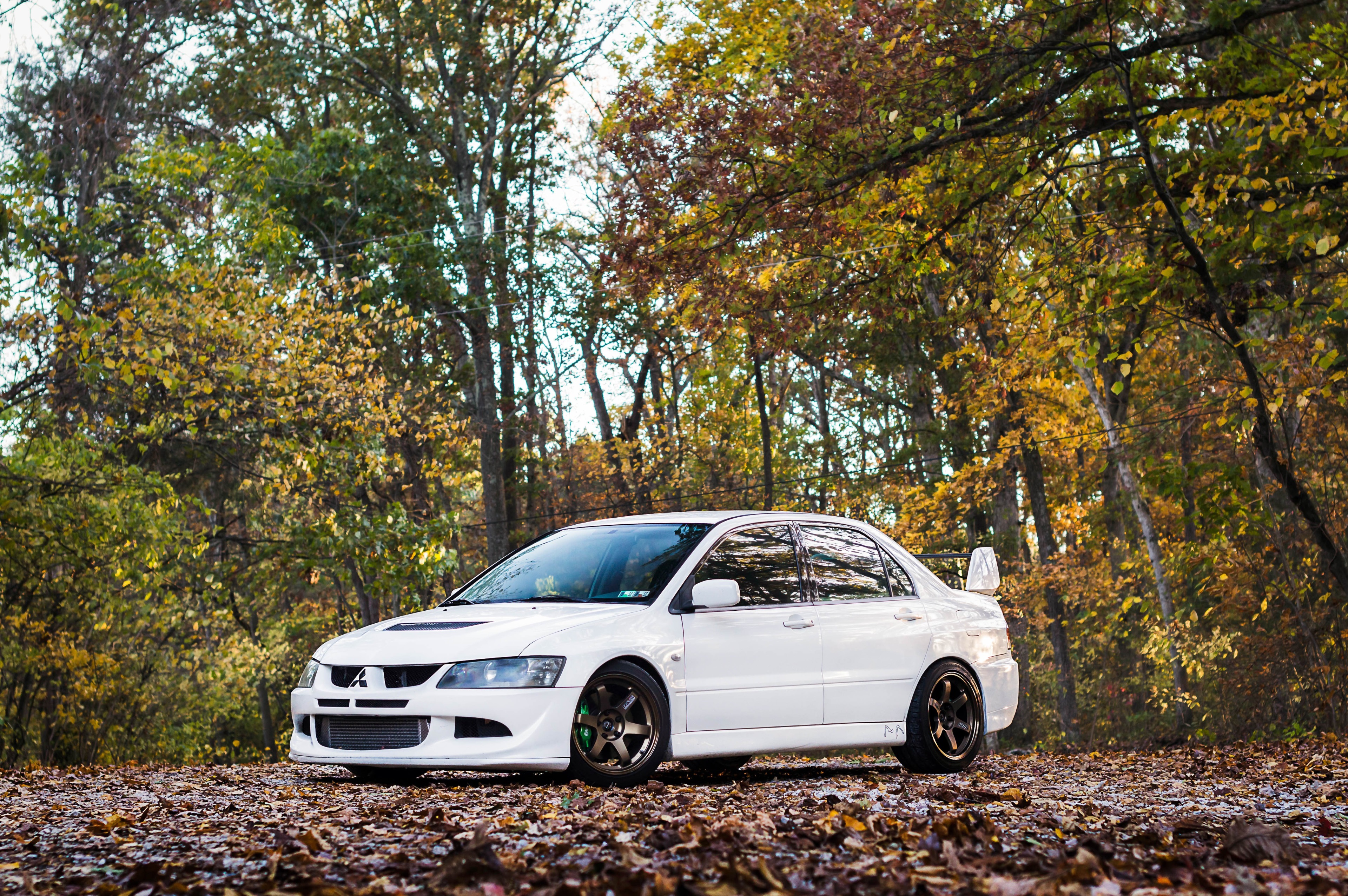White Mitsubishi Lancer Evolution VIII in Autumn Forest HD Wallpaper