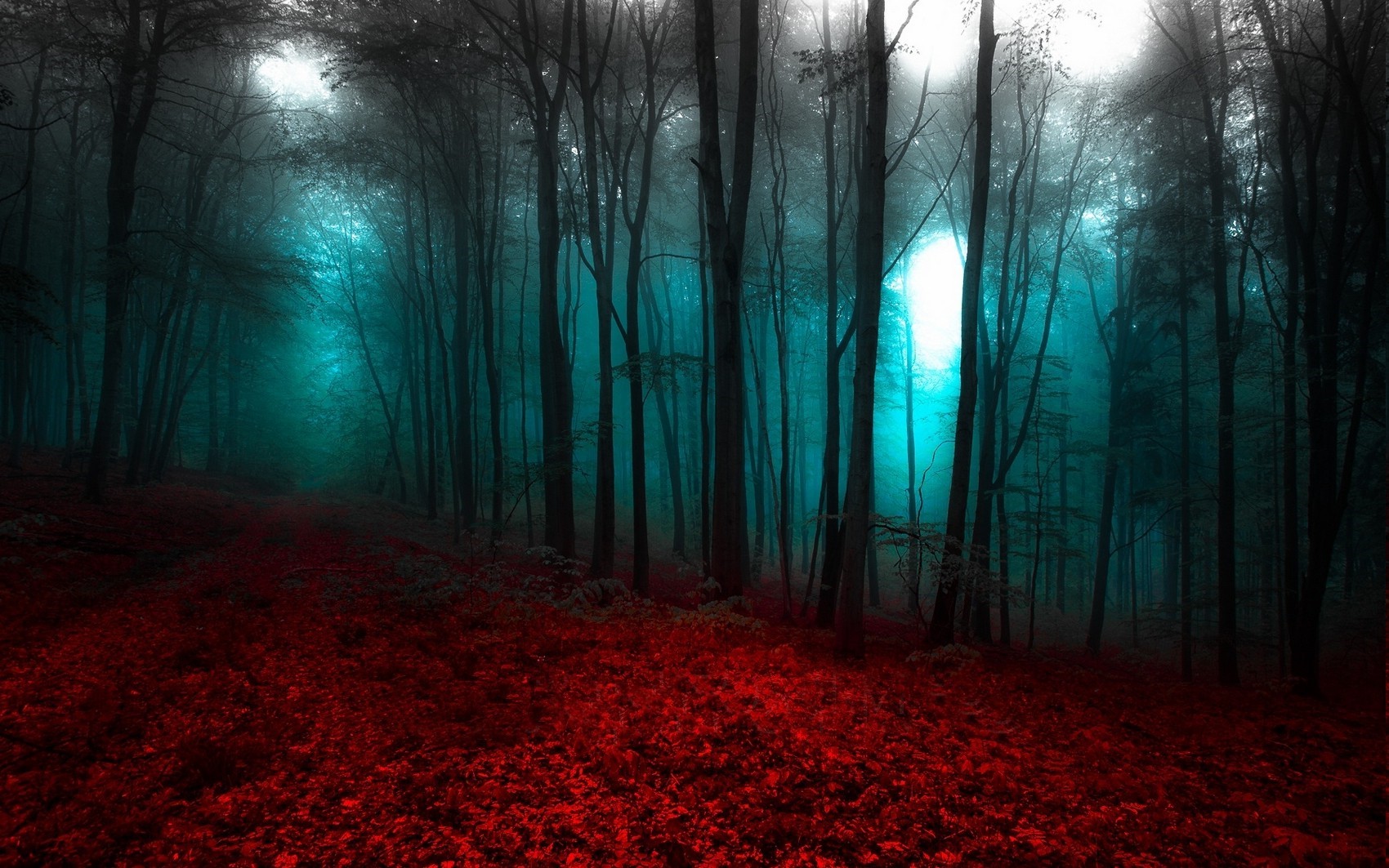 Red forest floor with blue mist and trees HD Wallpaper