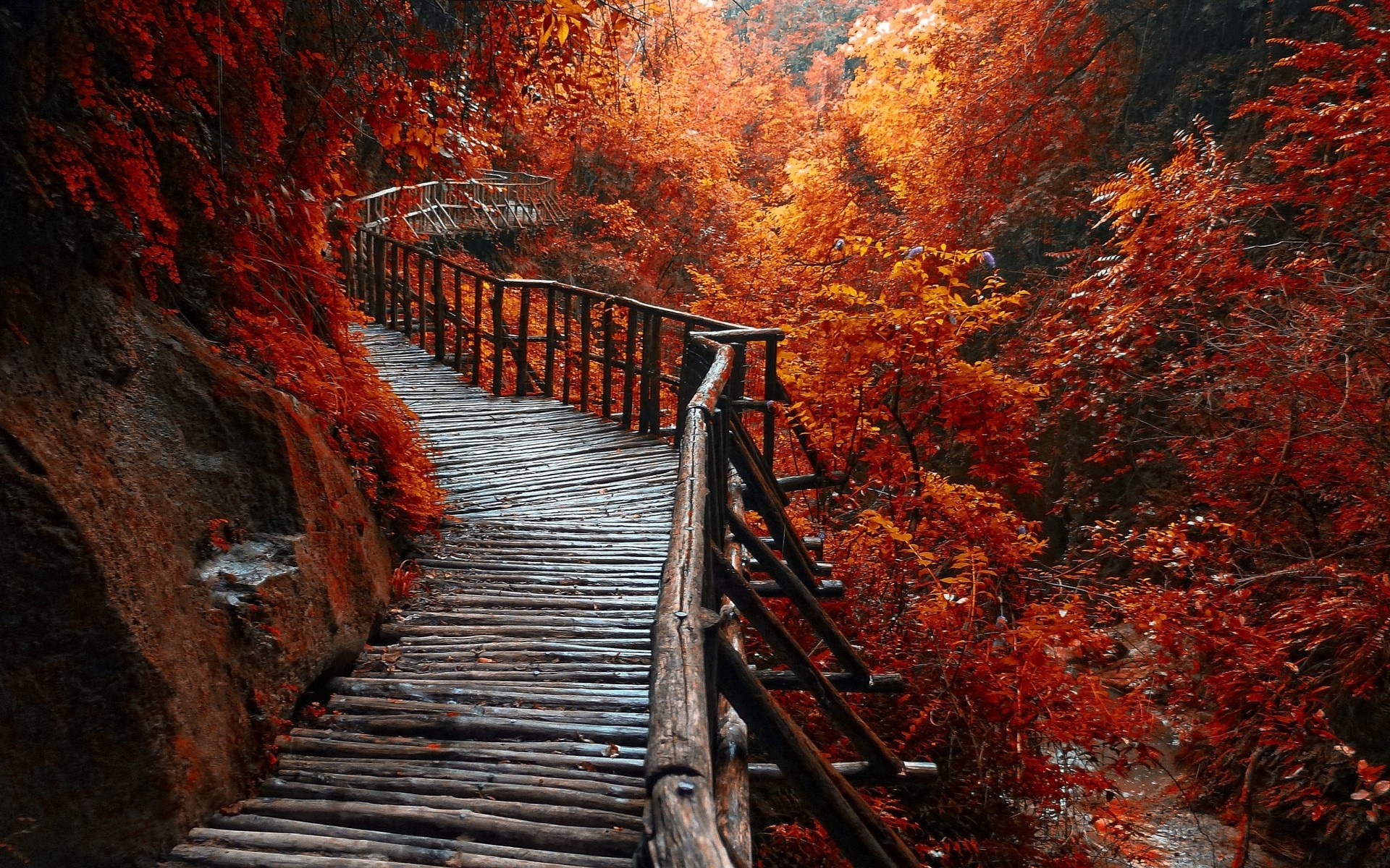 Wooden walkway through a vibrant autumn forest HD Wallpaper