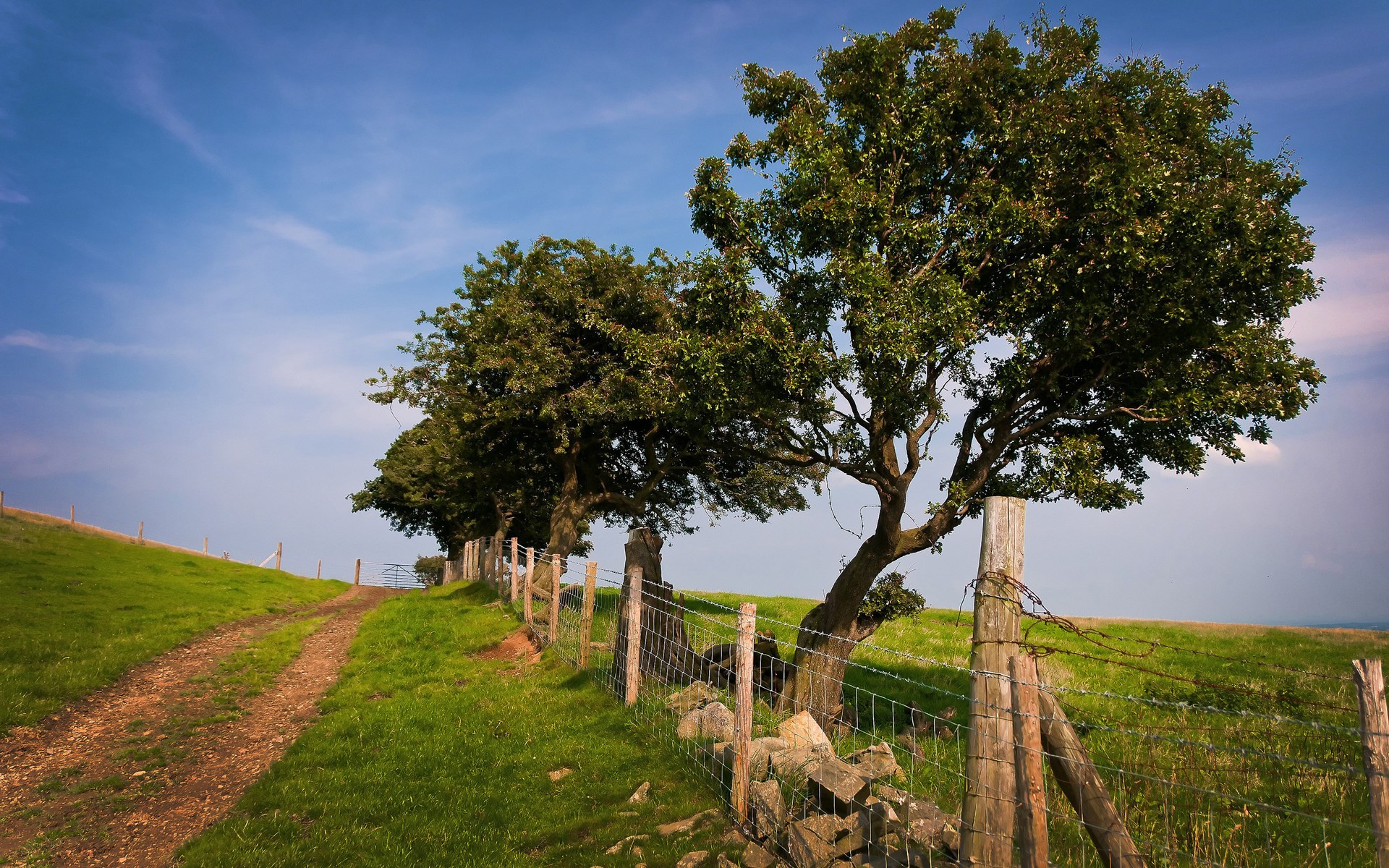 Dirt path and fence along a grassy hill with trees HD Wallpaper