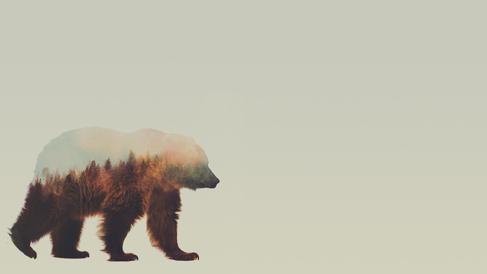 Double exposure of a bear and a forest HD Wallpaper