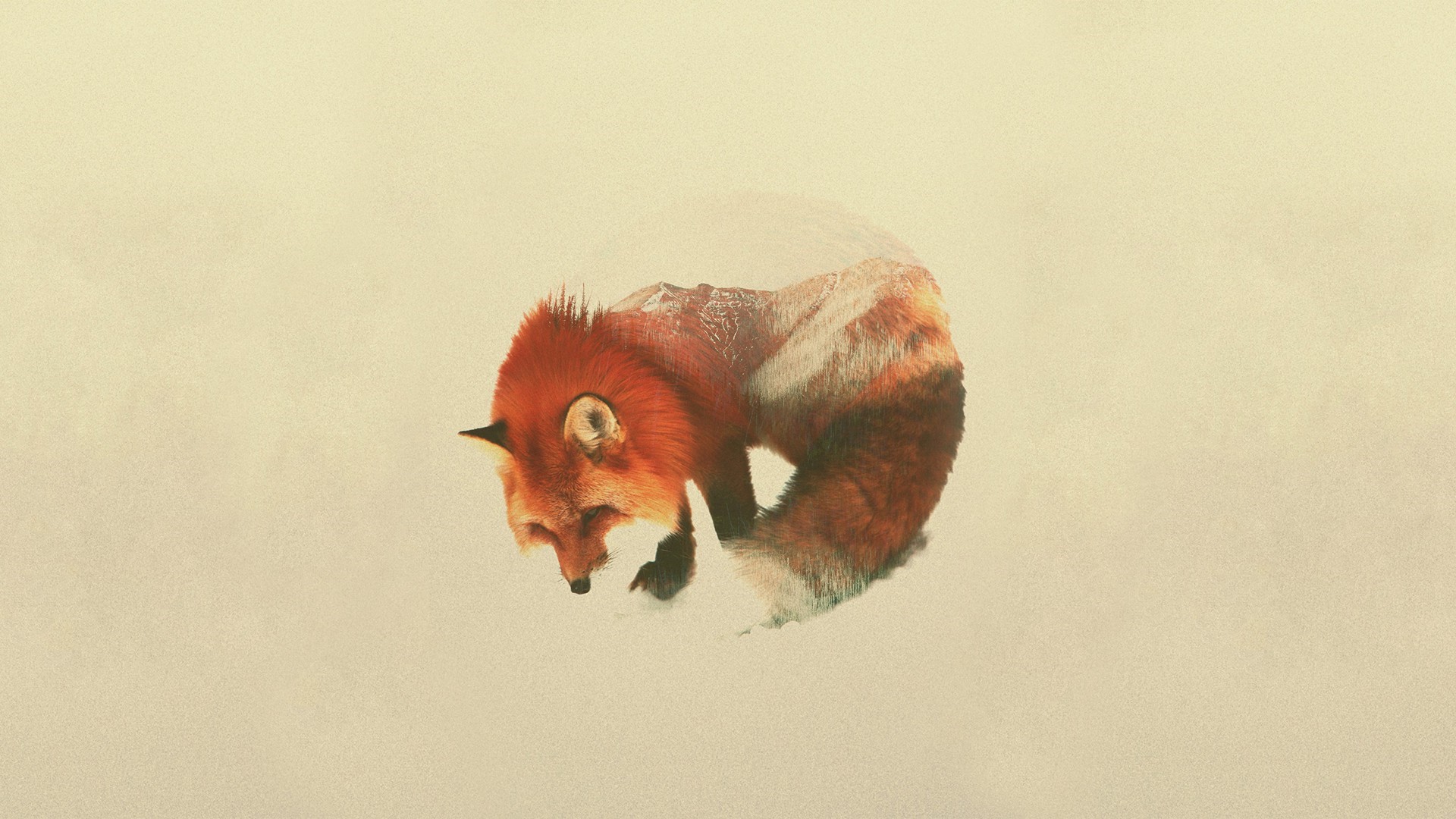 Double exposure of a fox and mountains HD Wallpaper