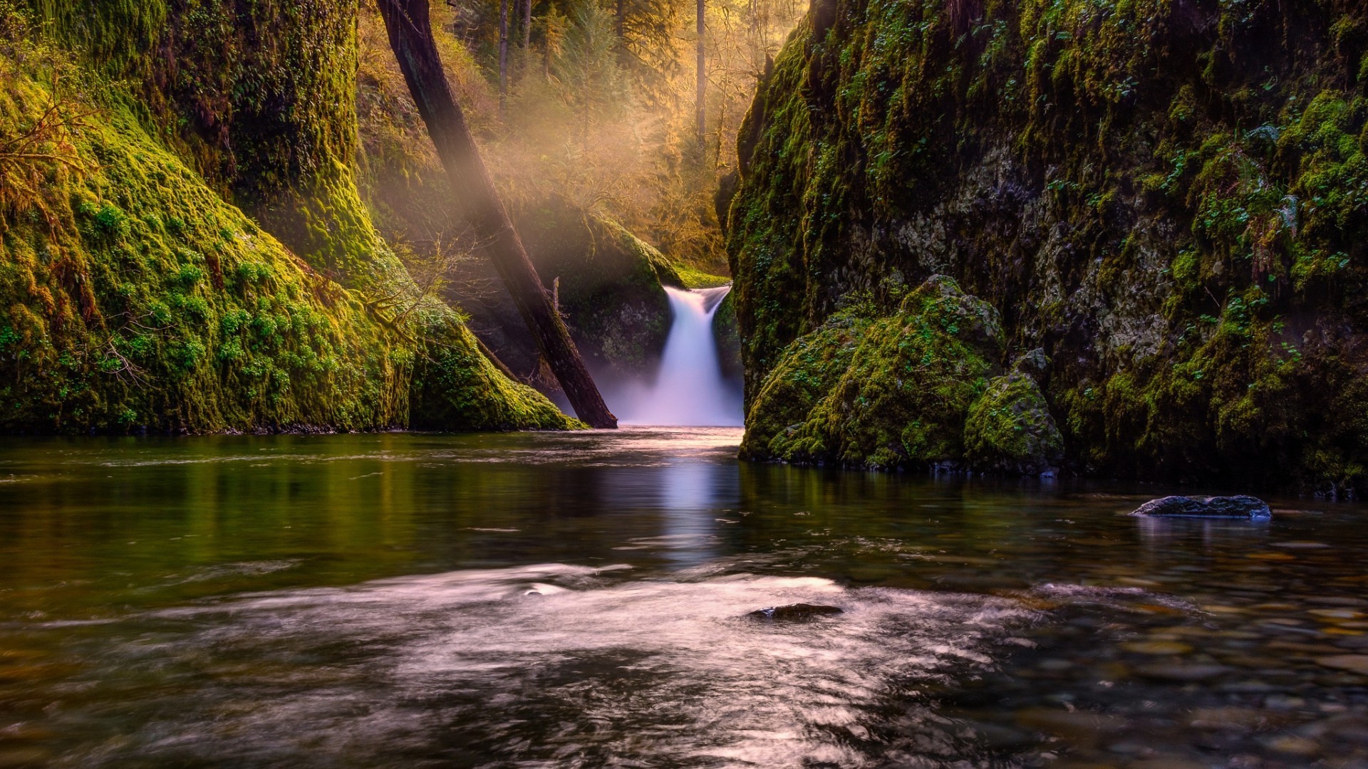 Mossy Waterfall in a Forest with a River HD Wallpaper