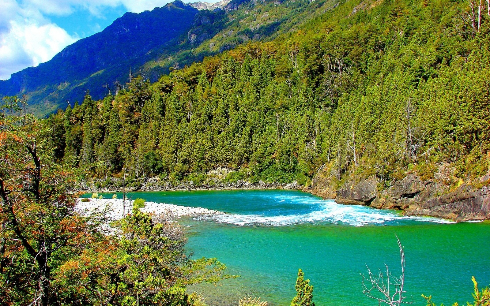 Turquoise river flowing through a lush green forest with mountains HD Wallpaper