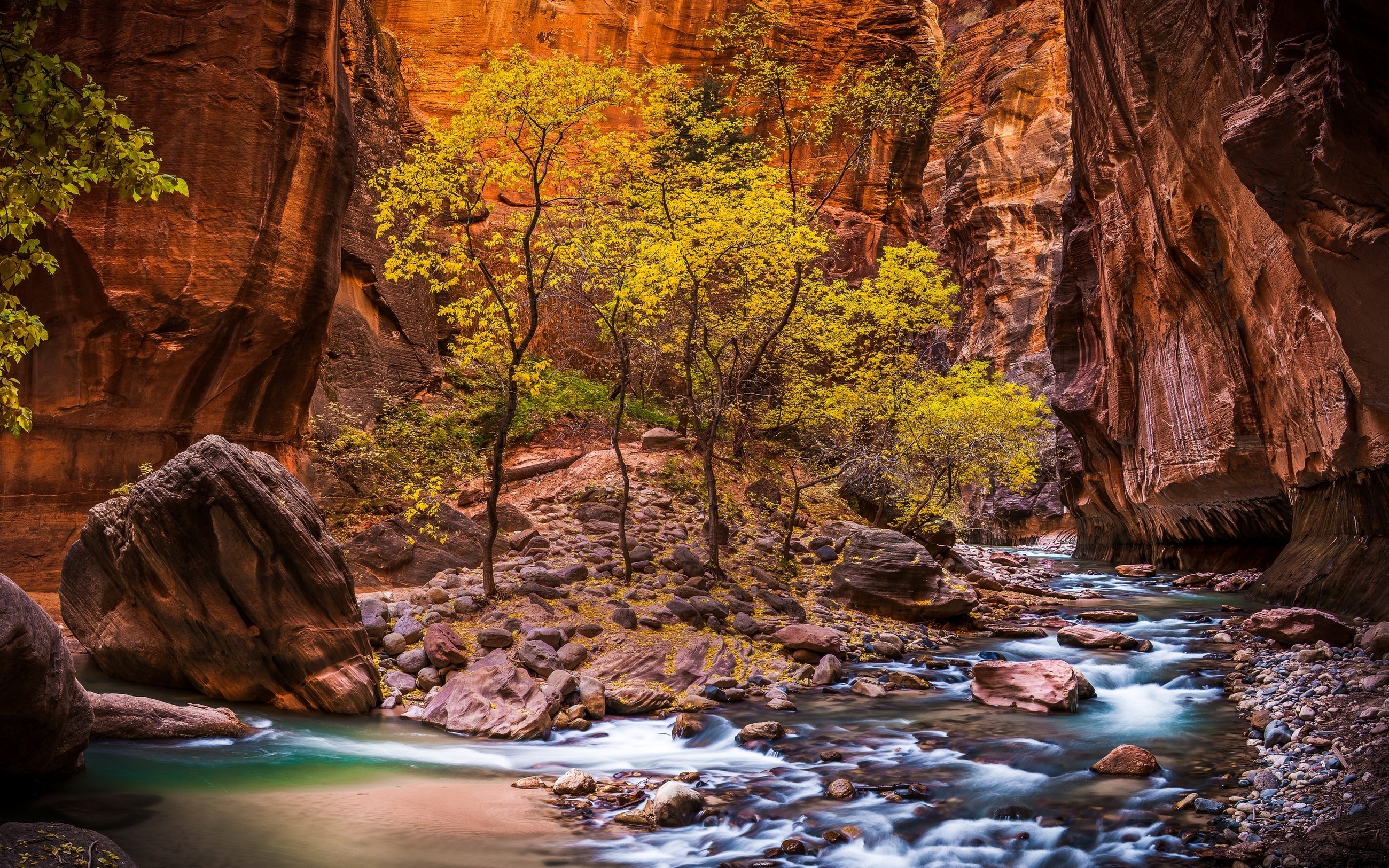 Zion National Park River Canyon Landscape HD Wallpaper