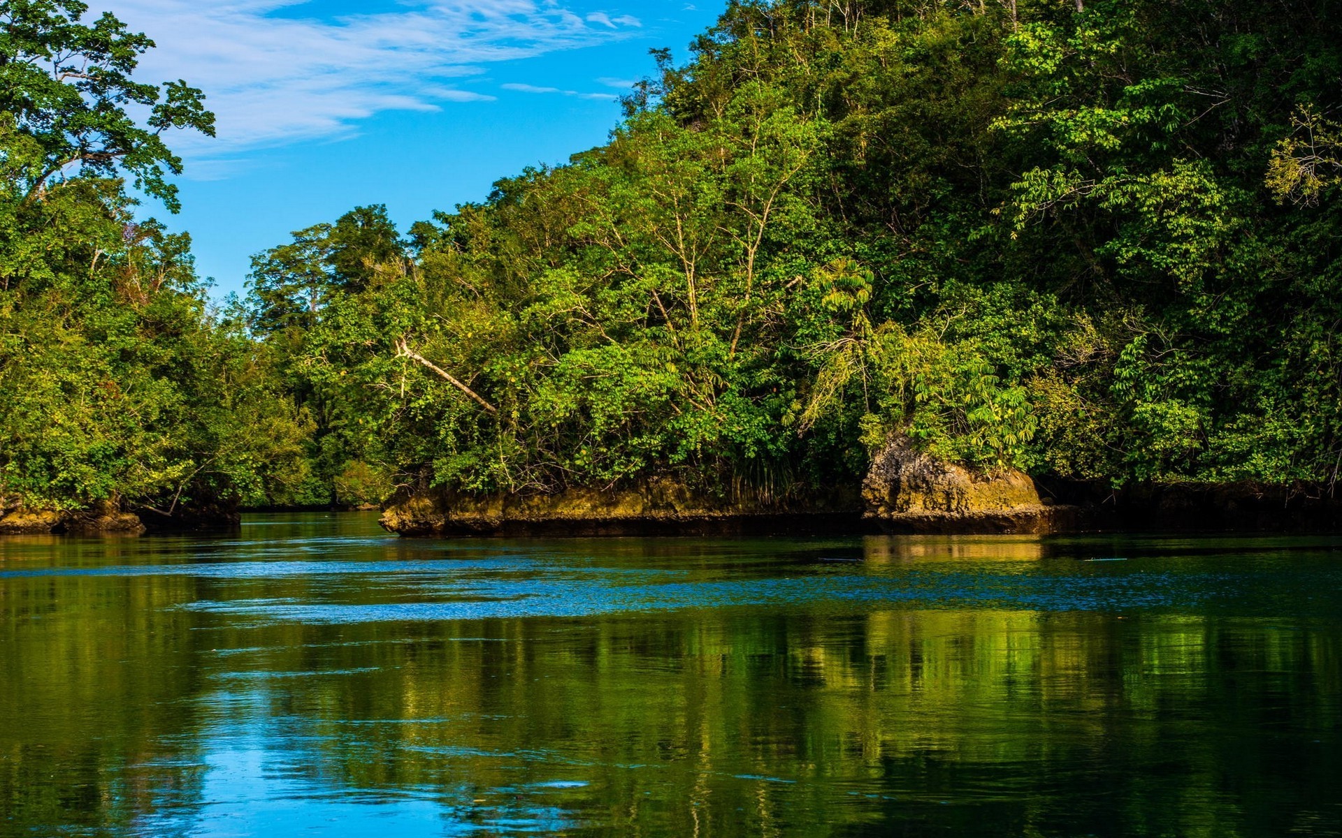 Lush Green Forest and Calm Waters in Raja Ampat HD Wallpaper