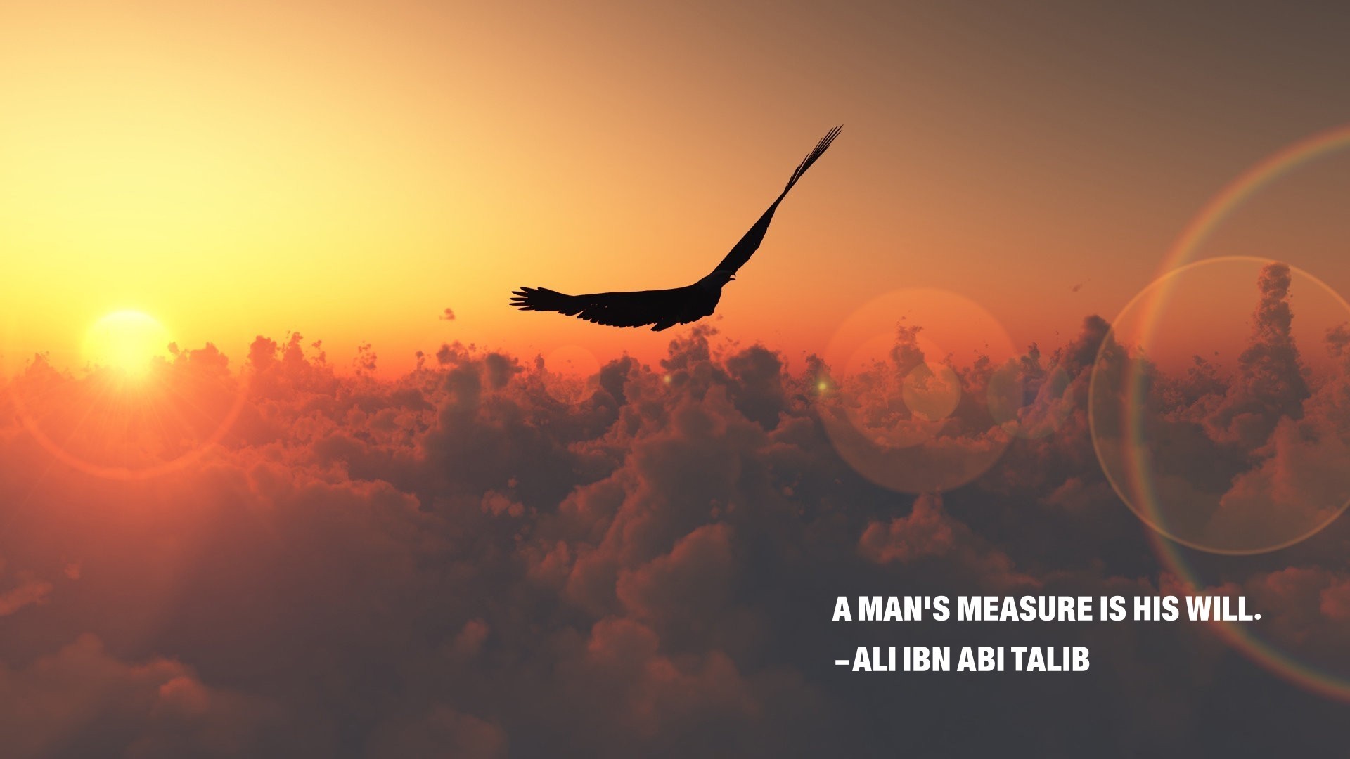 Eagle flying over clouds at sunset with quote HD Wallpaper