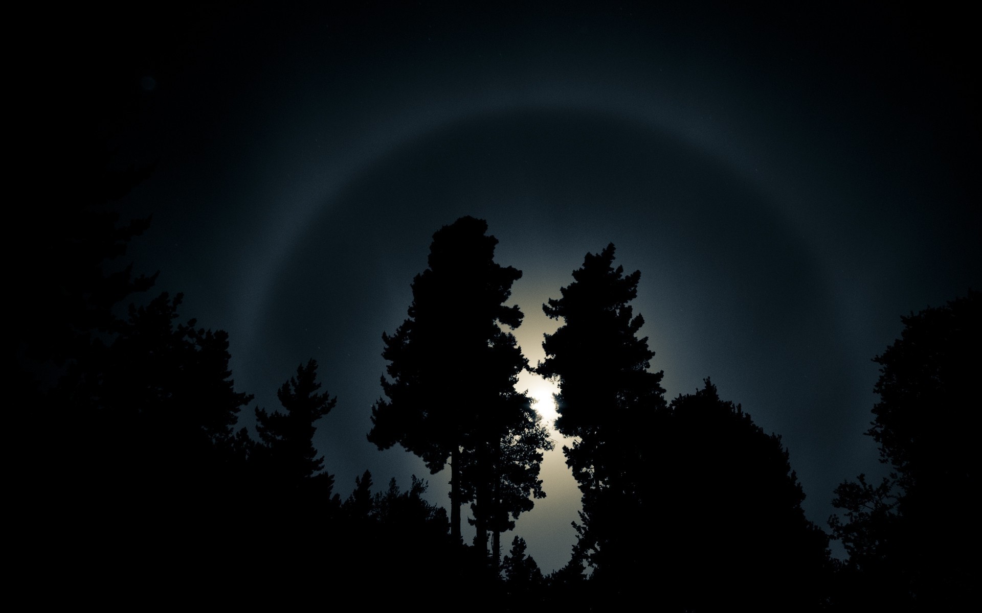 Moon halo over silhouetted trees at night HD Wallpaper