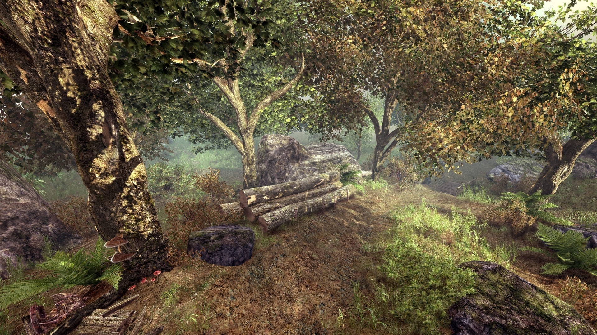 The Elder Scrolls V: Skyrim forest landscape HD Wallpaper