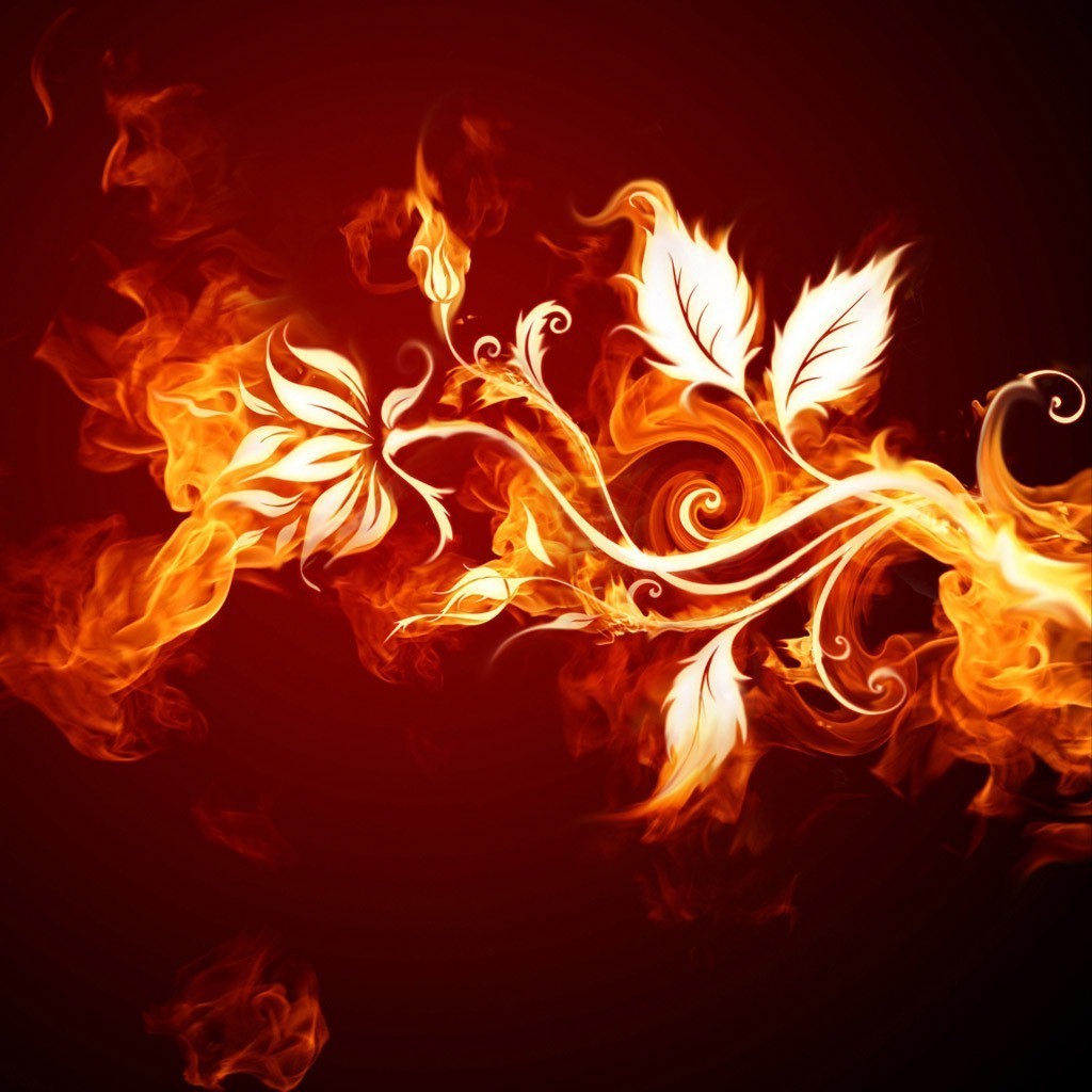 Fiery Floral Design with Glowing Flames HD Wallpaper