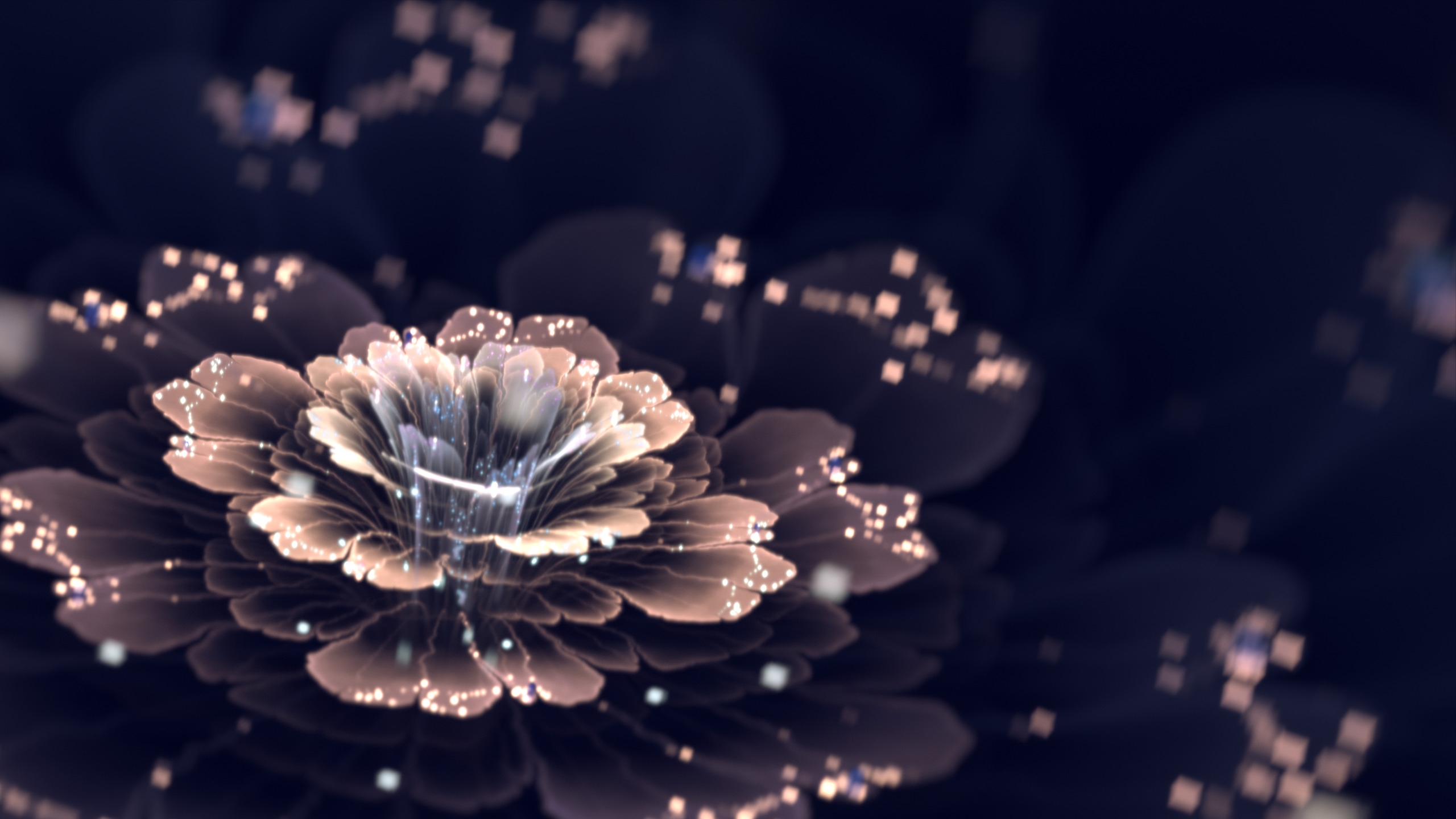 Fractal flower with glowing particles HD Wallpaper