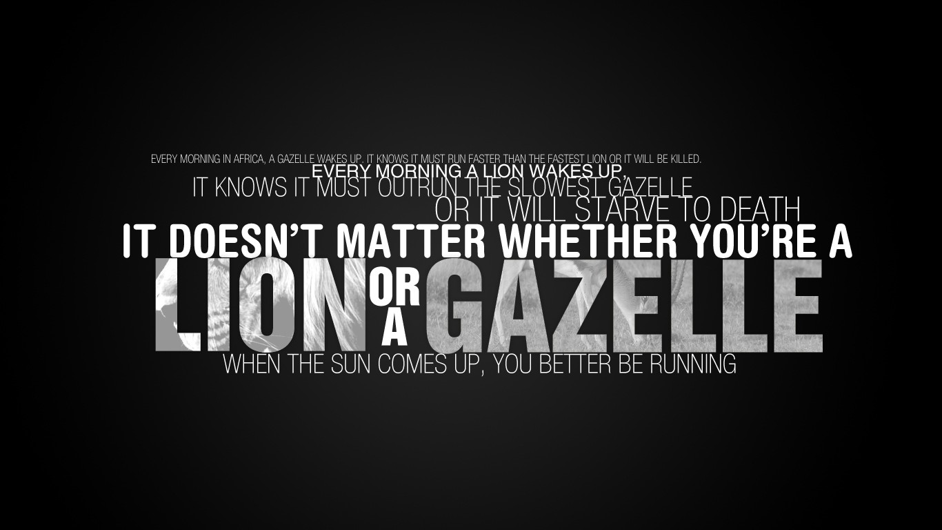 Motivational quote about lions and gazelles HD Wallpaper