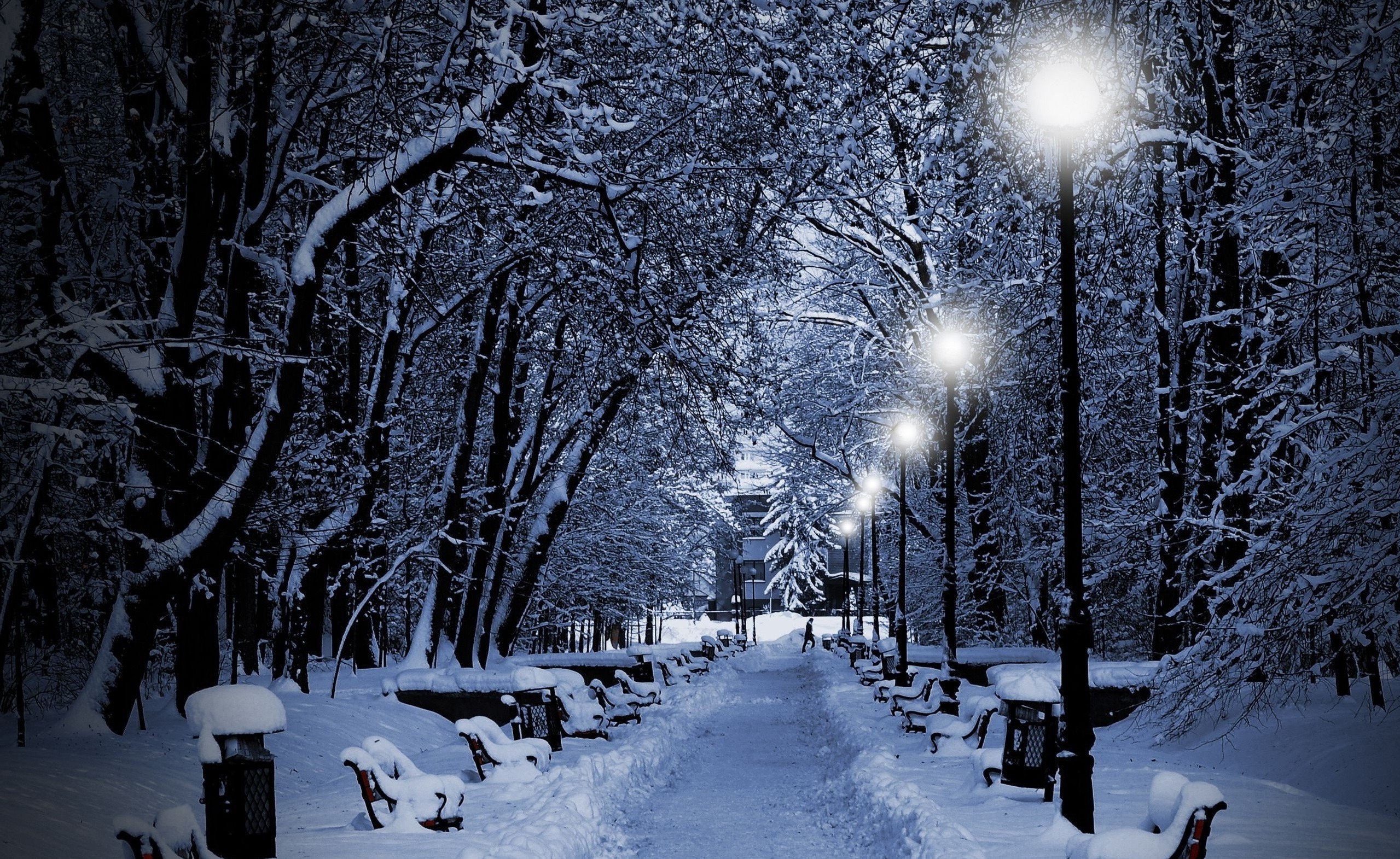 Snowy park path with benches and streetlights at night HD Wallpaper