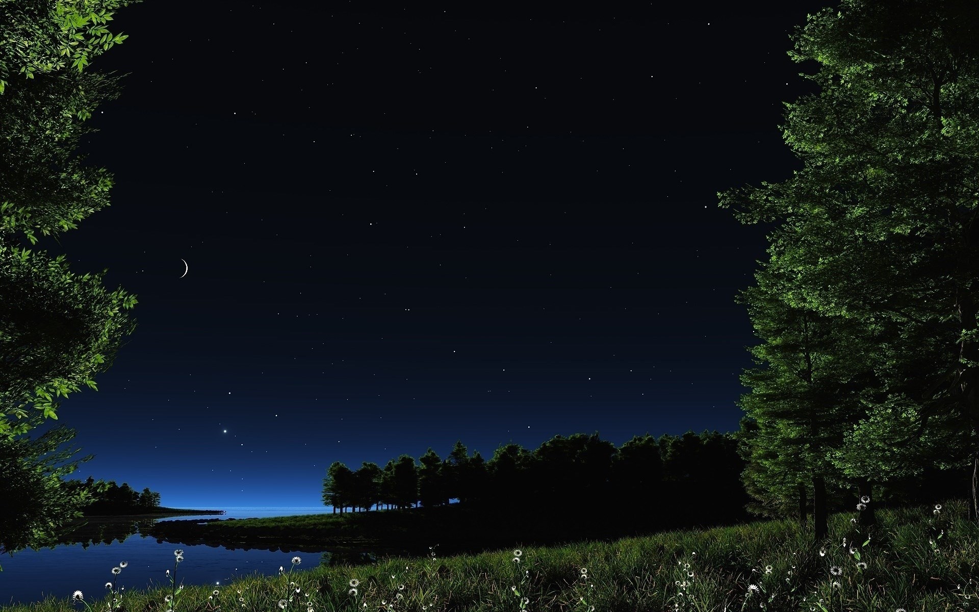 Night sky over a lake with trees and stars HD Wallpaper