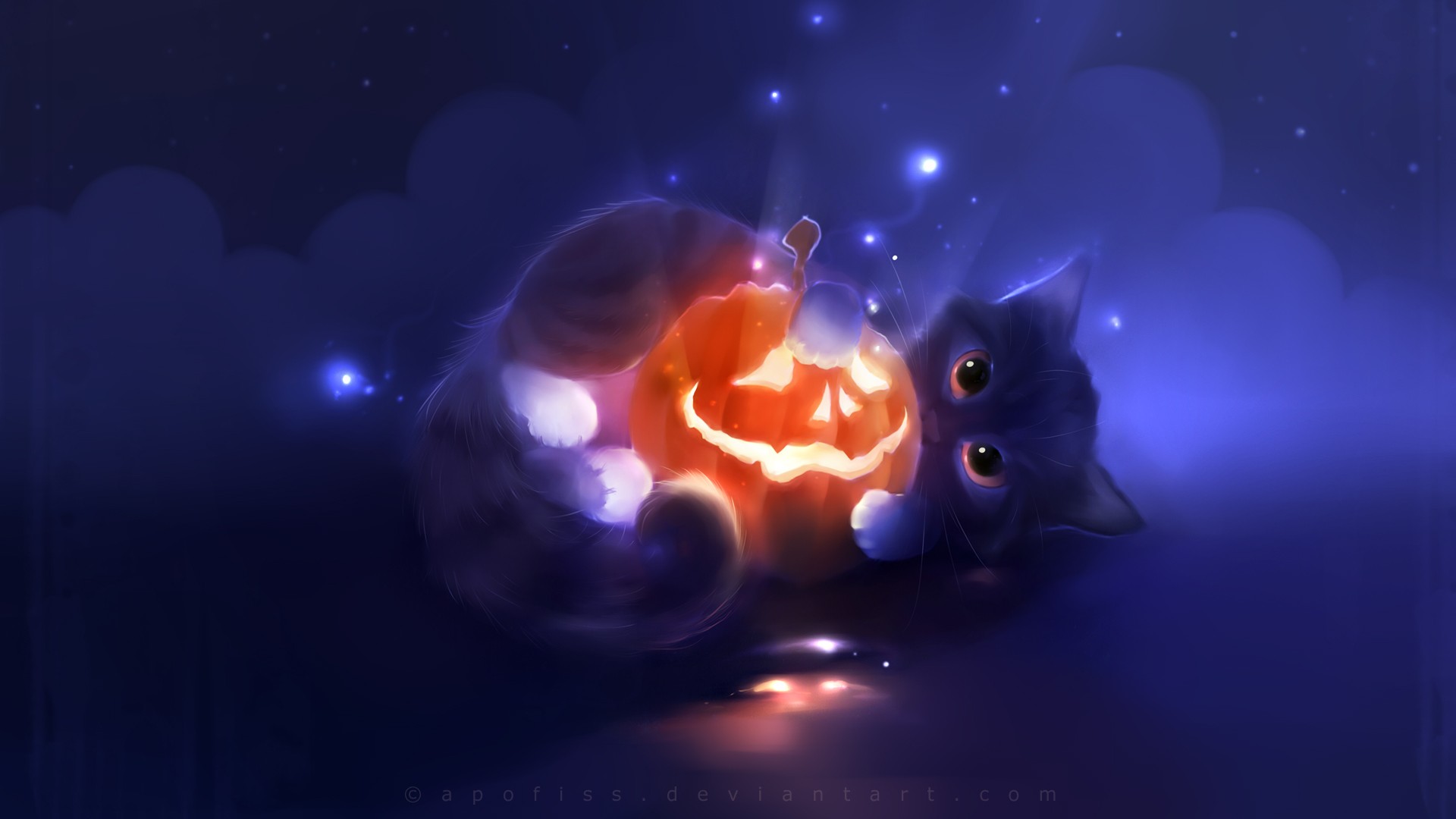 Cat with a glowing Jack-o'-lantern HD Wallpaper