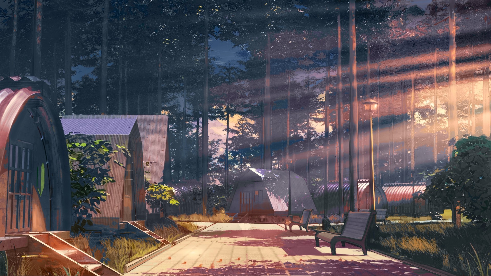 Everlasting Summer cabins in forest with sunlight HD Wallpaper