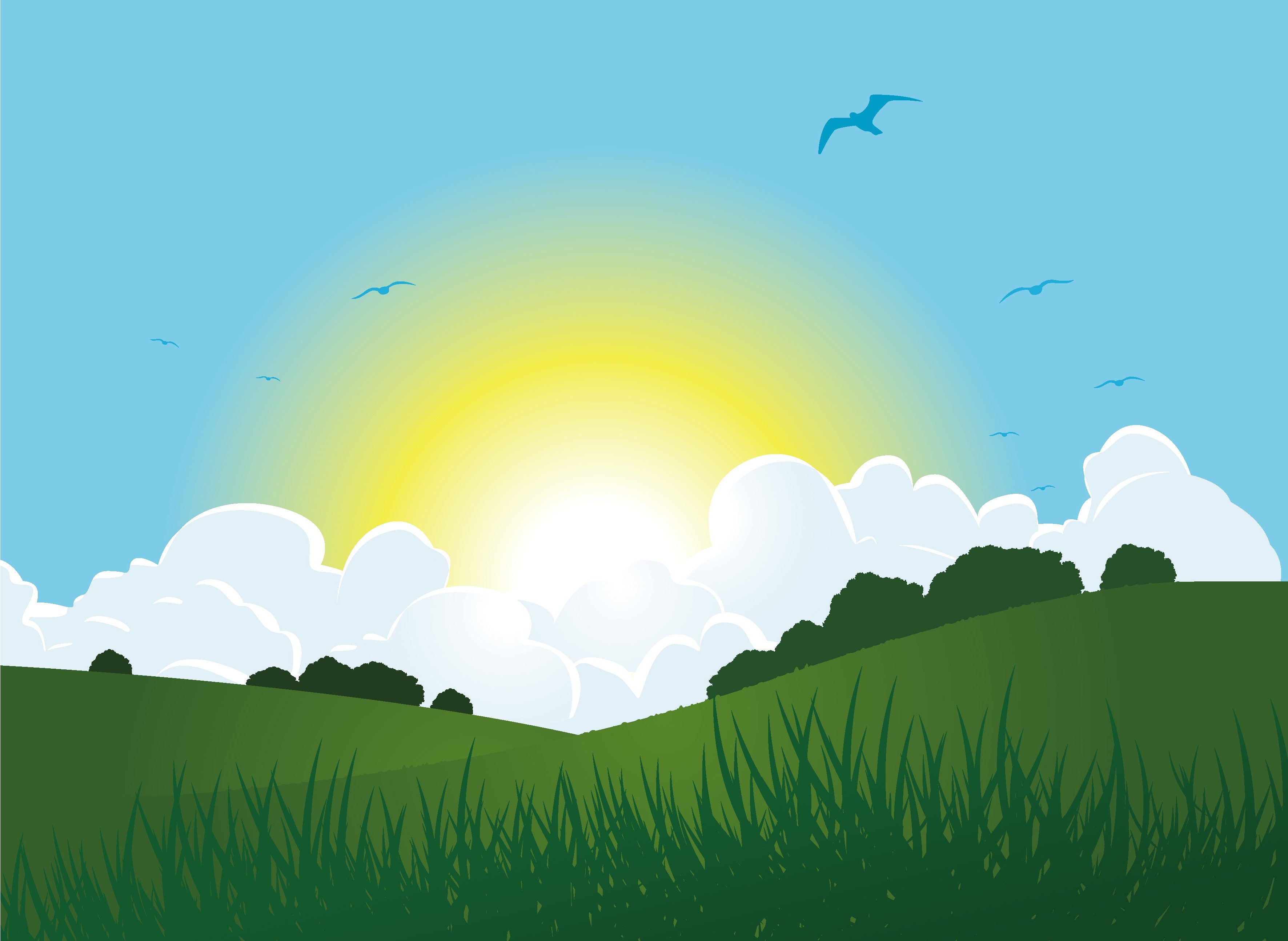 Sunrise over rolling green hills with clouds and birds HD Wallpaper