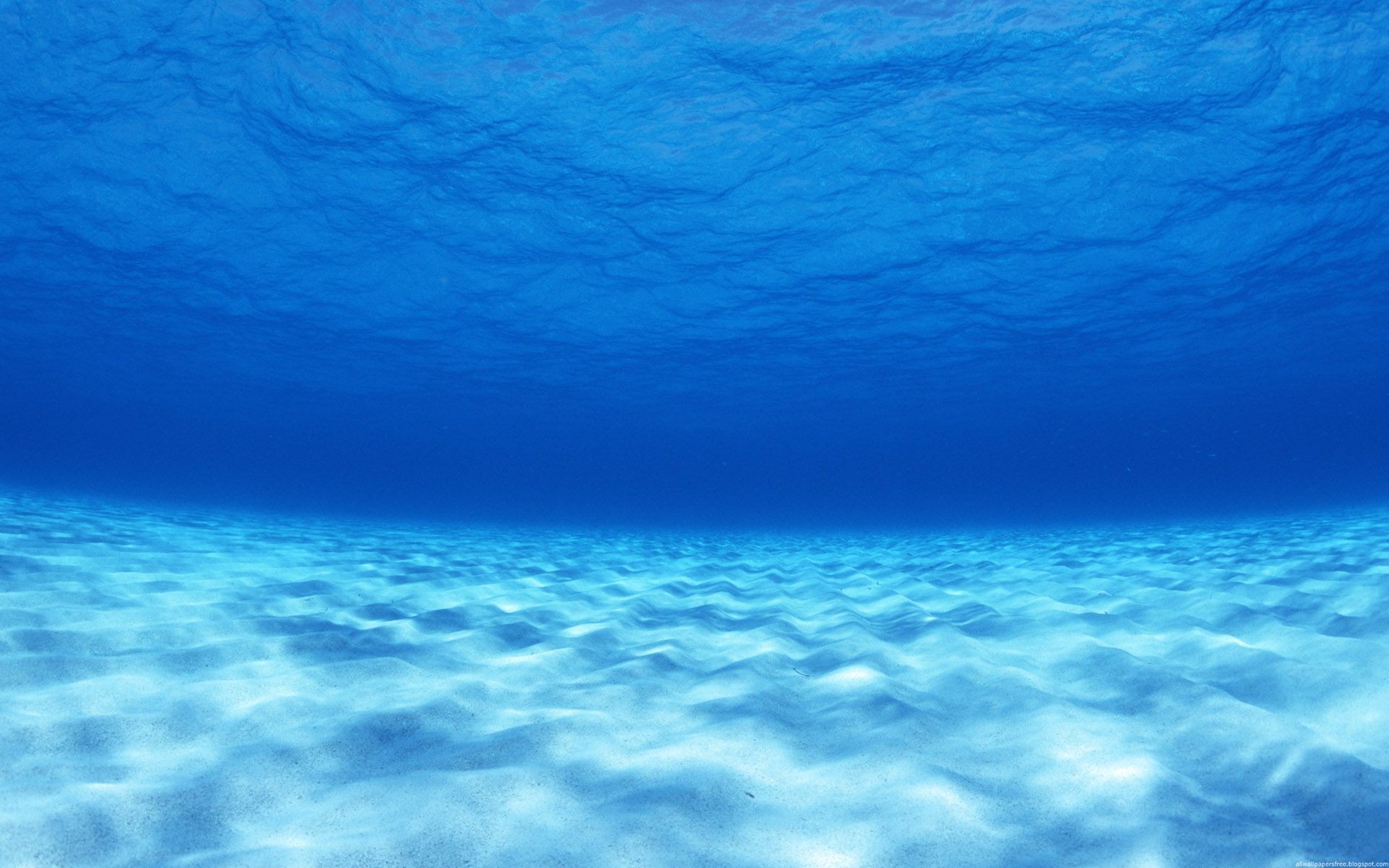 Underwater view of the ocean floor with sunlight HD Wallpaper