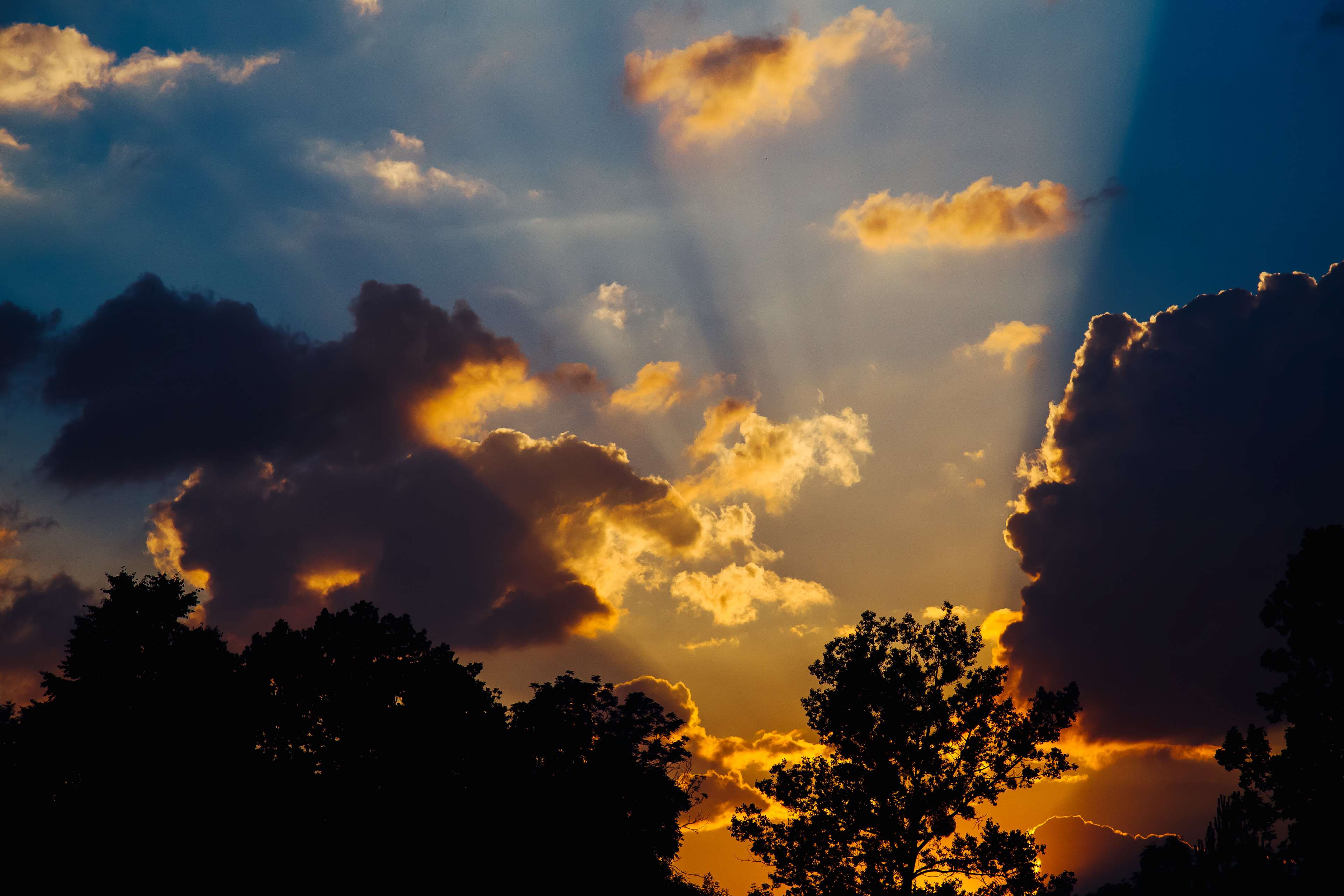 Sunset with Sun Rays and Silhouetted Trees 4K HD Wallpaper