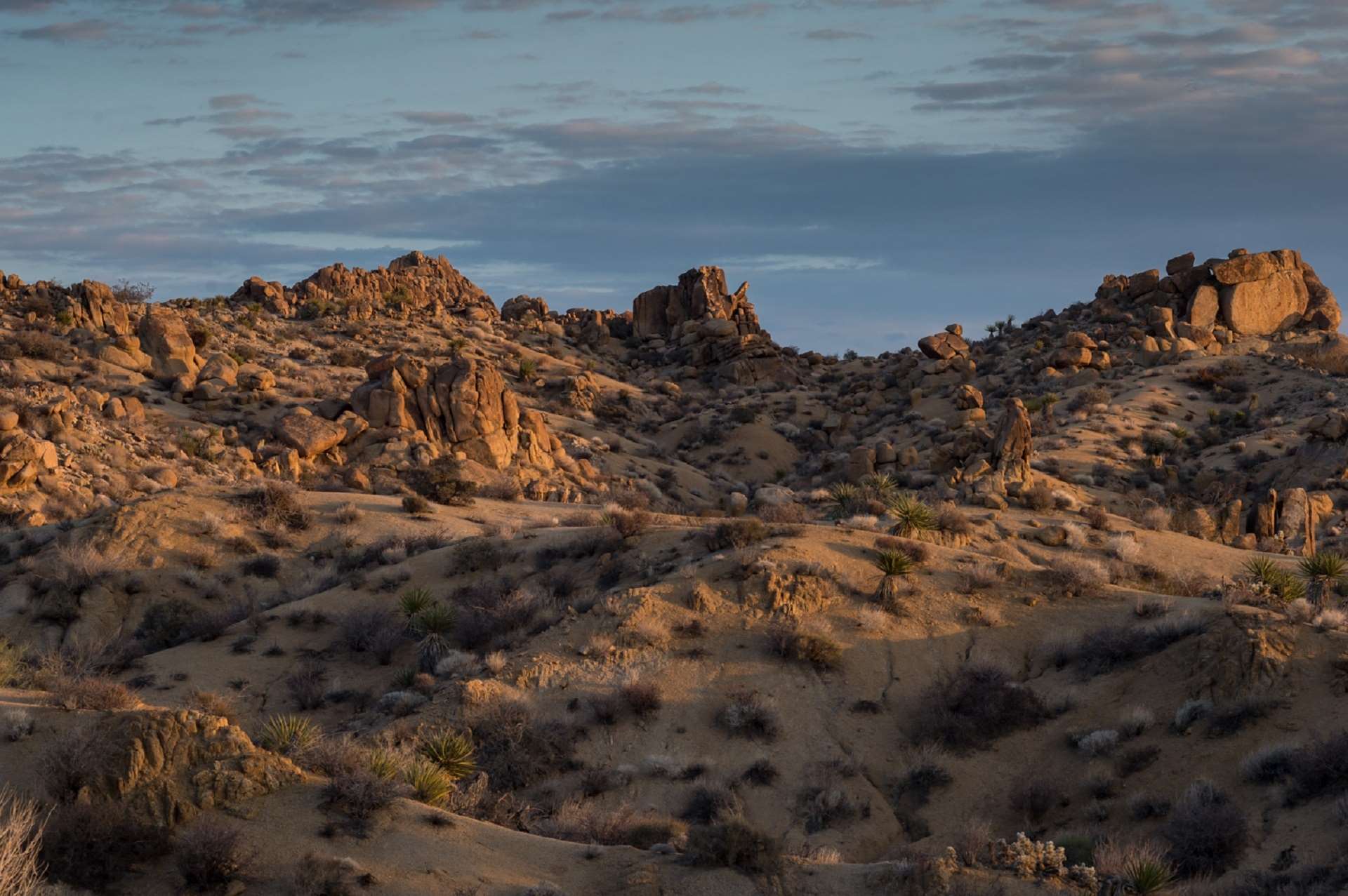 Rocky desert landscape with Joshua trees and clouds HD Wallpaper