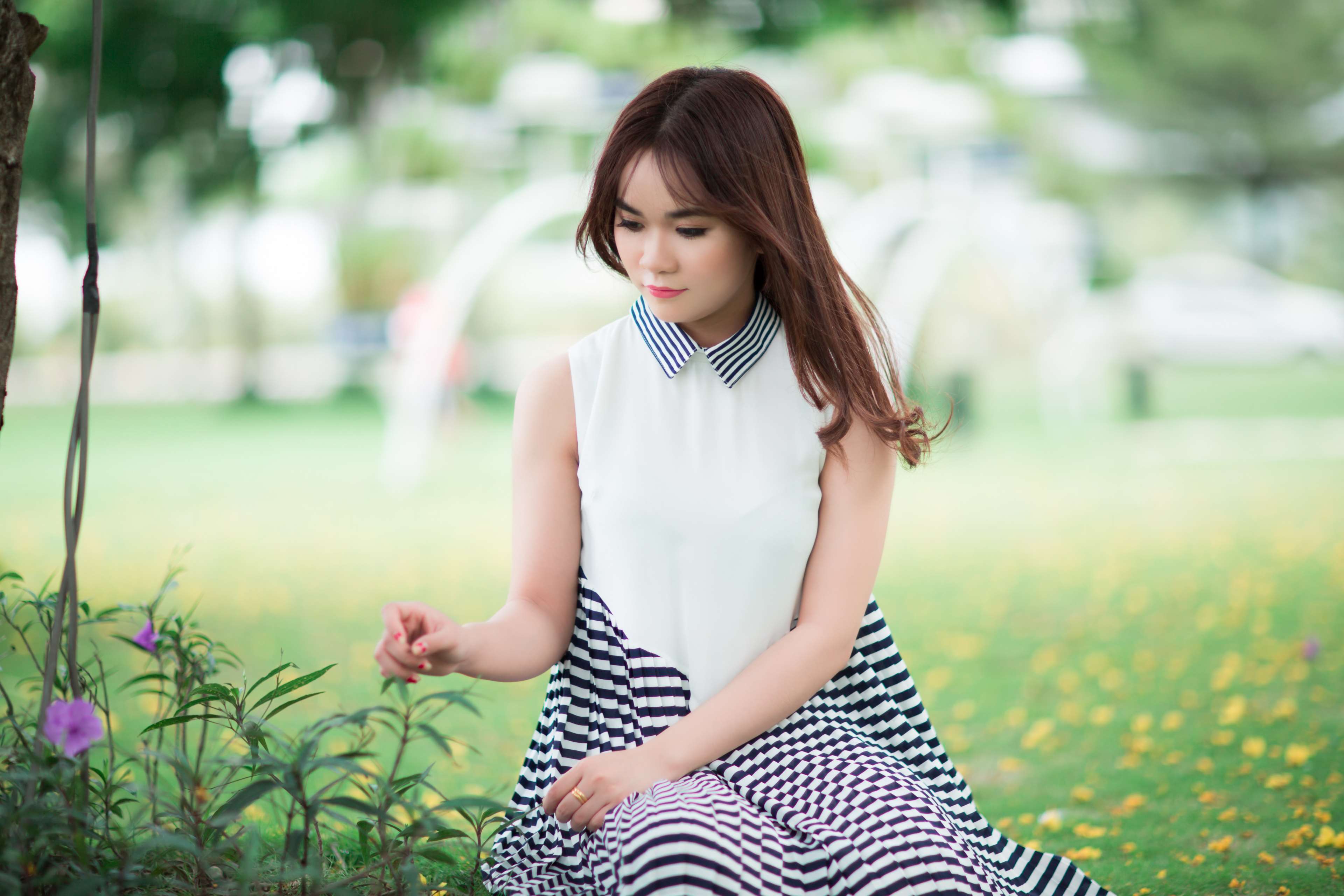 Young woman in a dress sitting in a park HD Wallpaper
