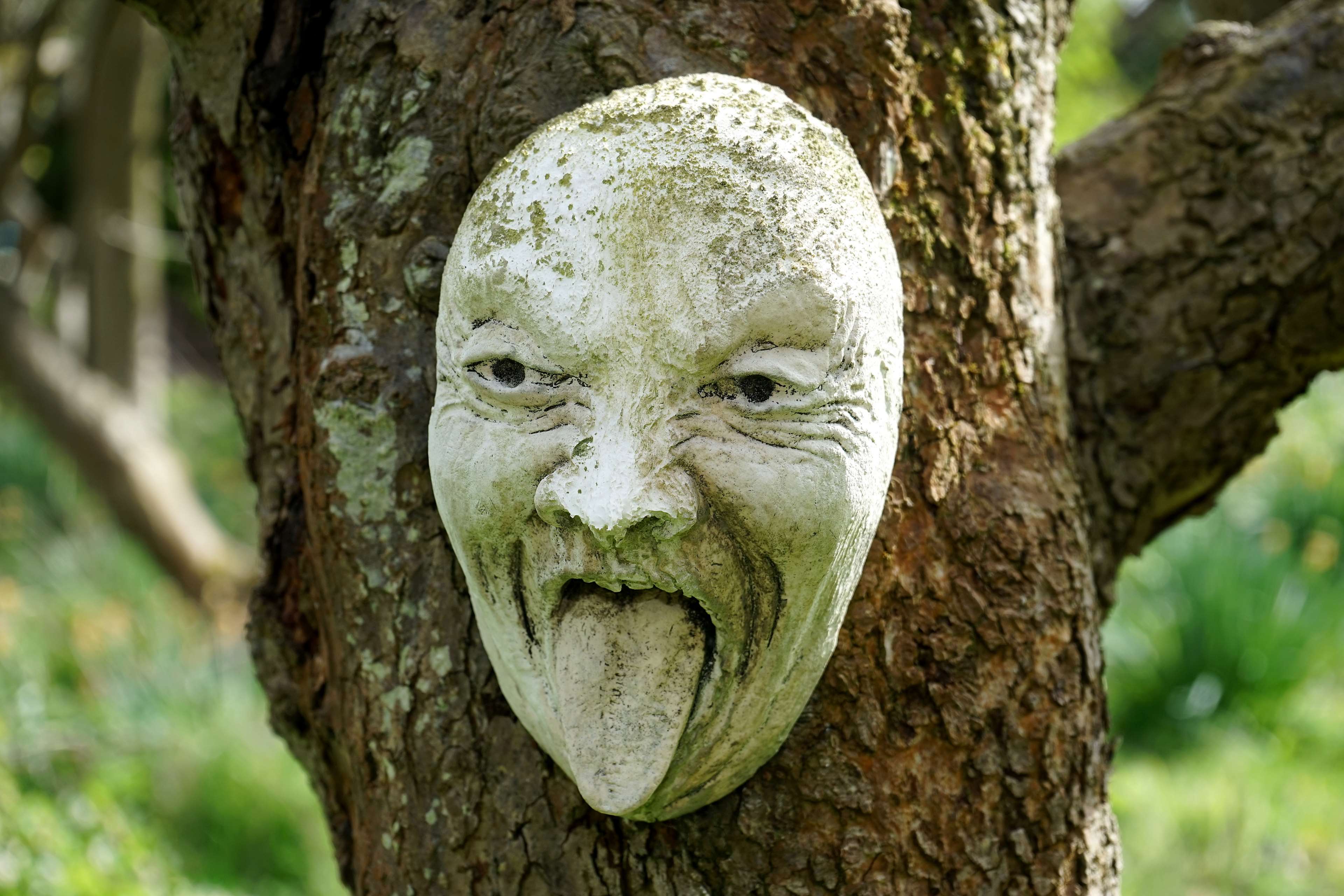 Scary face mask on a tree trunk HD Wallpaper