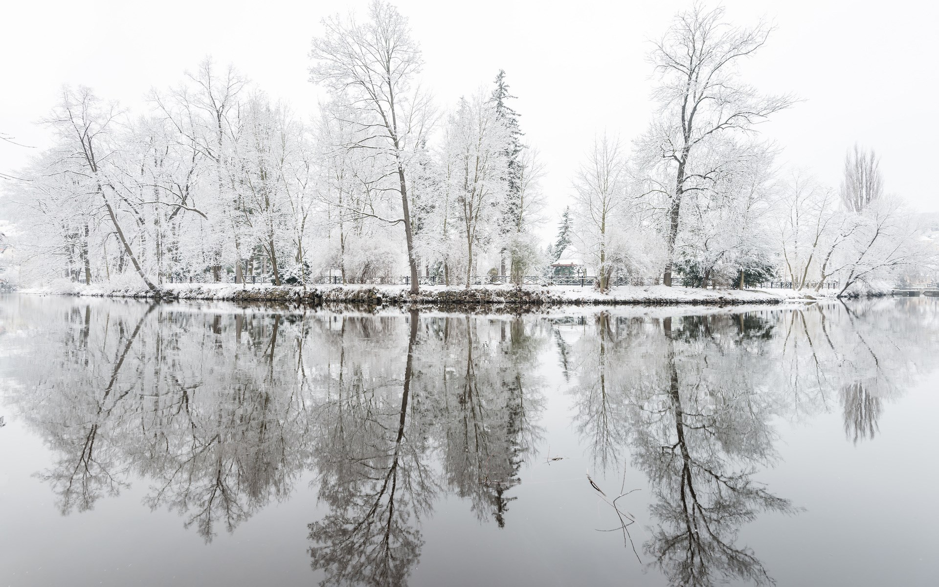 Snow-covered trees reflected in calm water HD Wallpaper